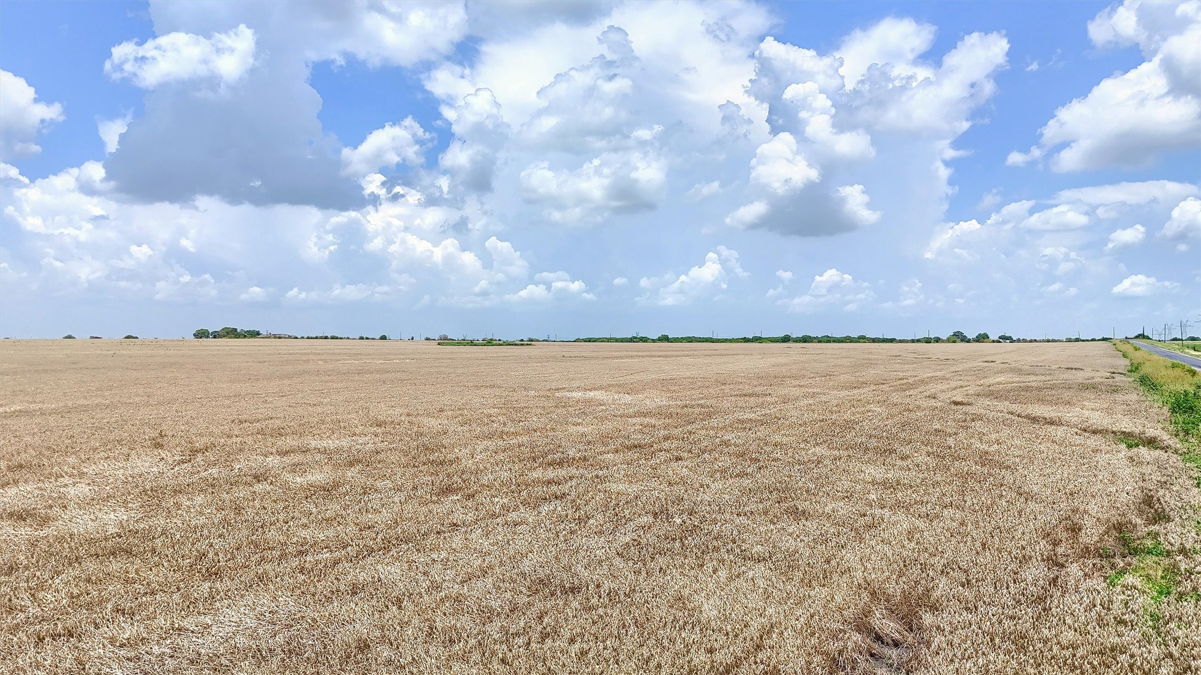 115 ac Fm 902 & Wall St.