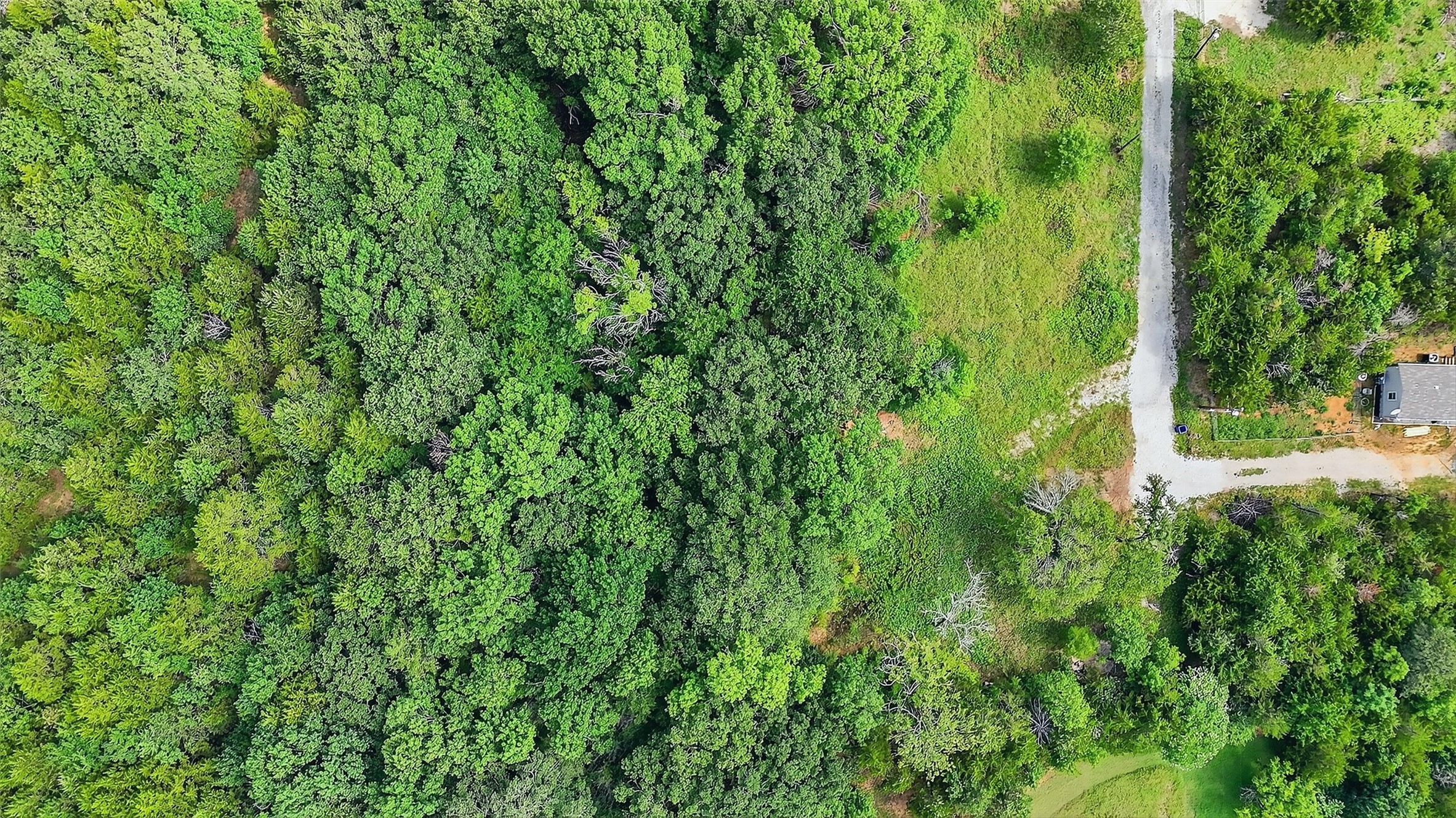 291 Riner Road