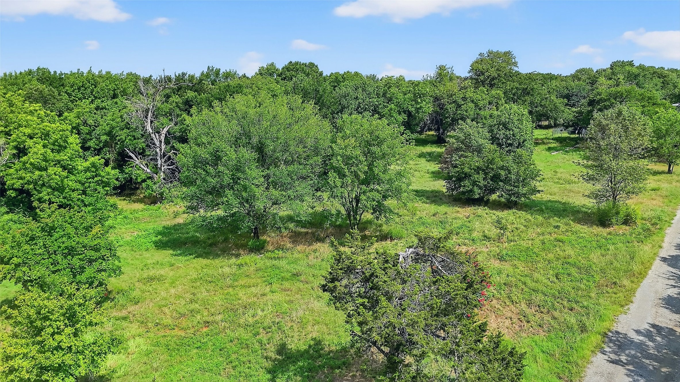 291 Riner Road