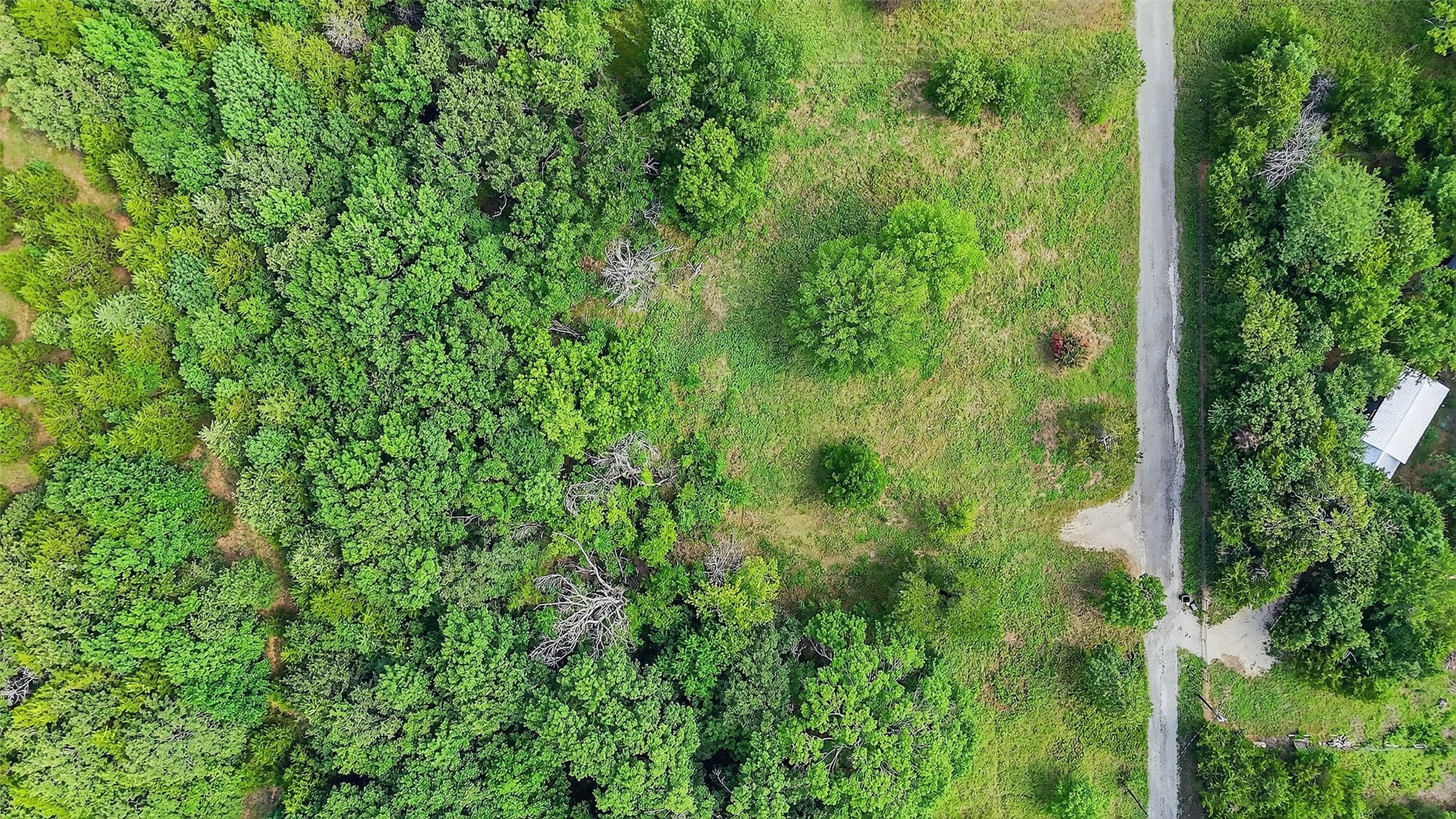 291 Riner Road