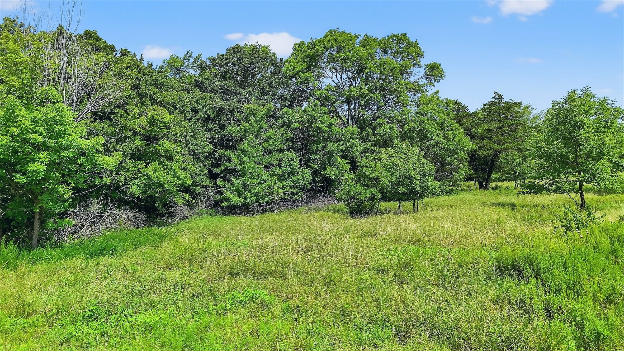 319 Riner Road