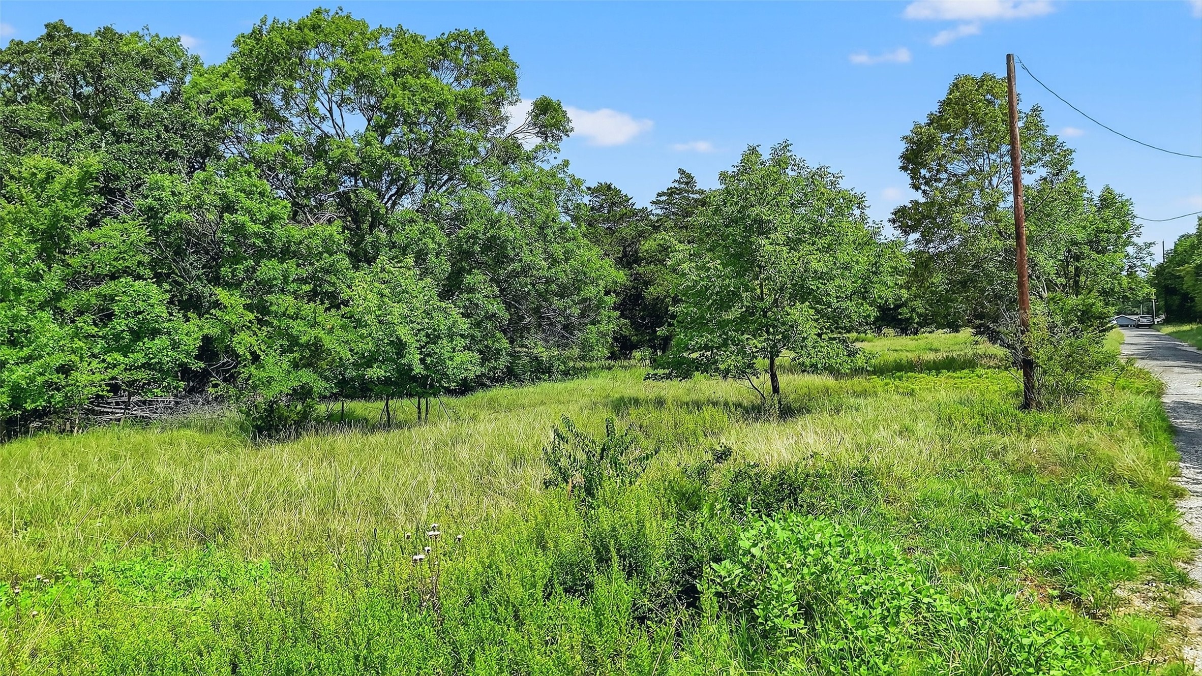 319 Riner Road