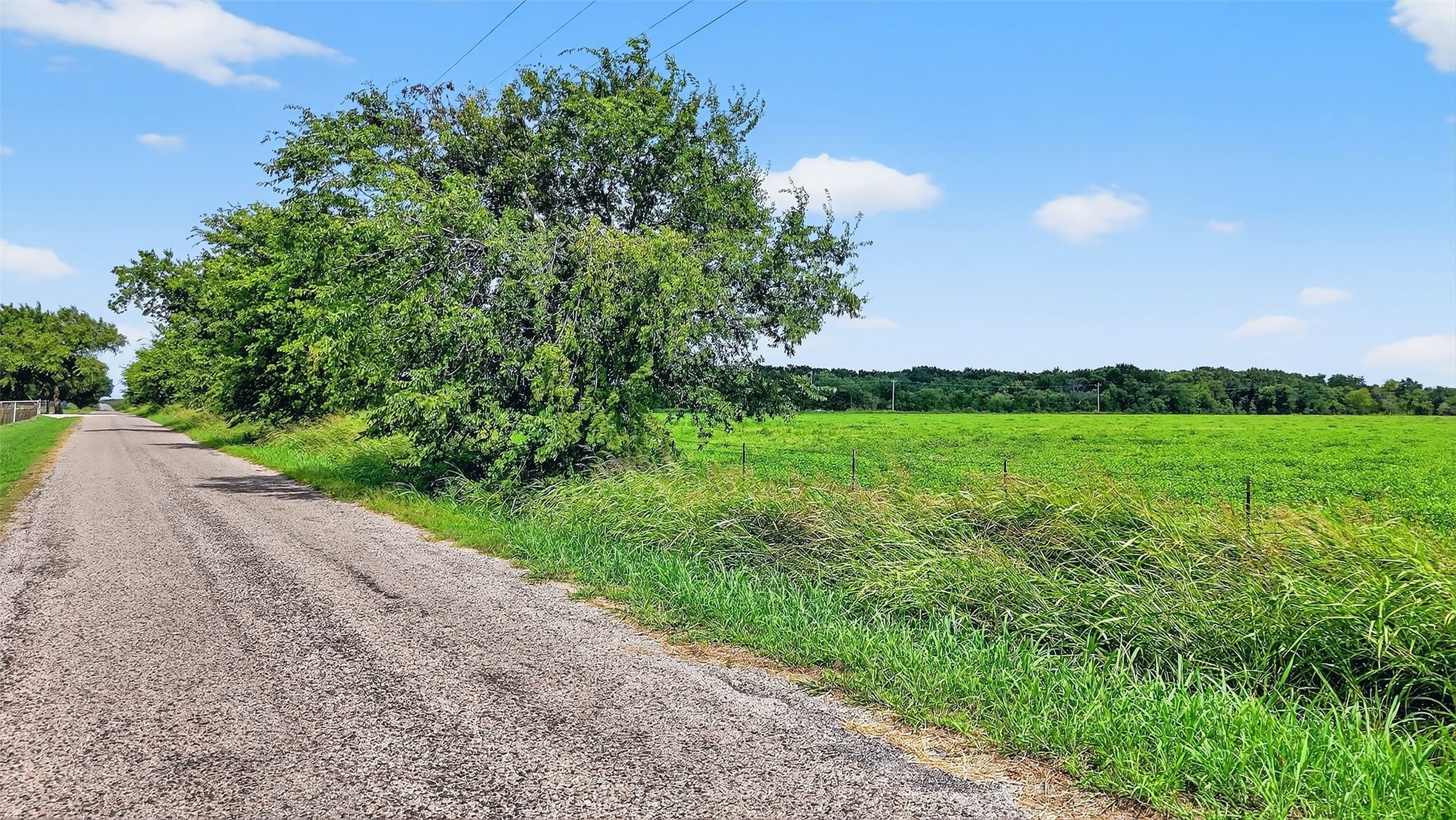TBD HogTown Road