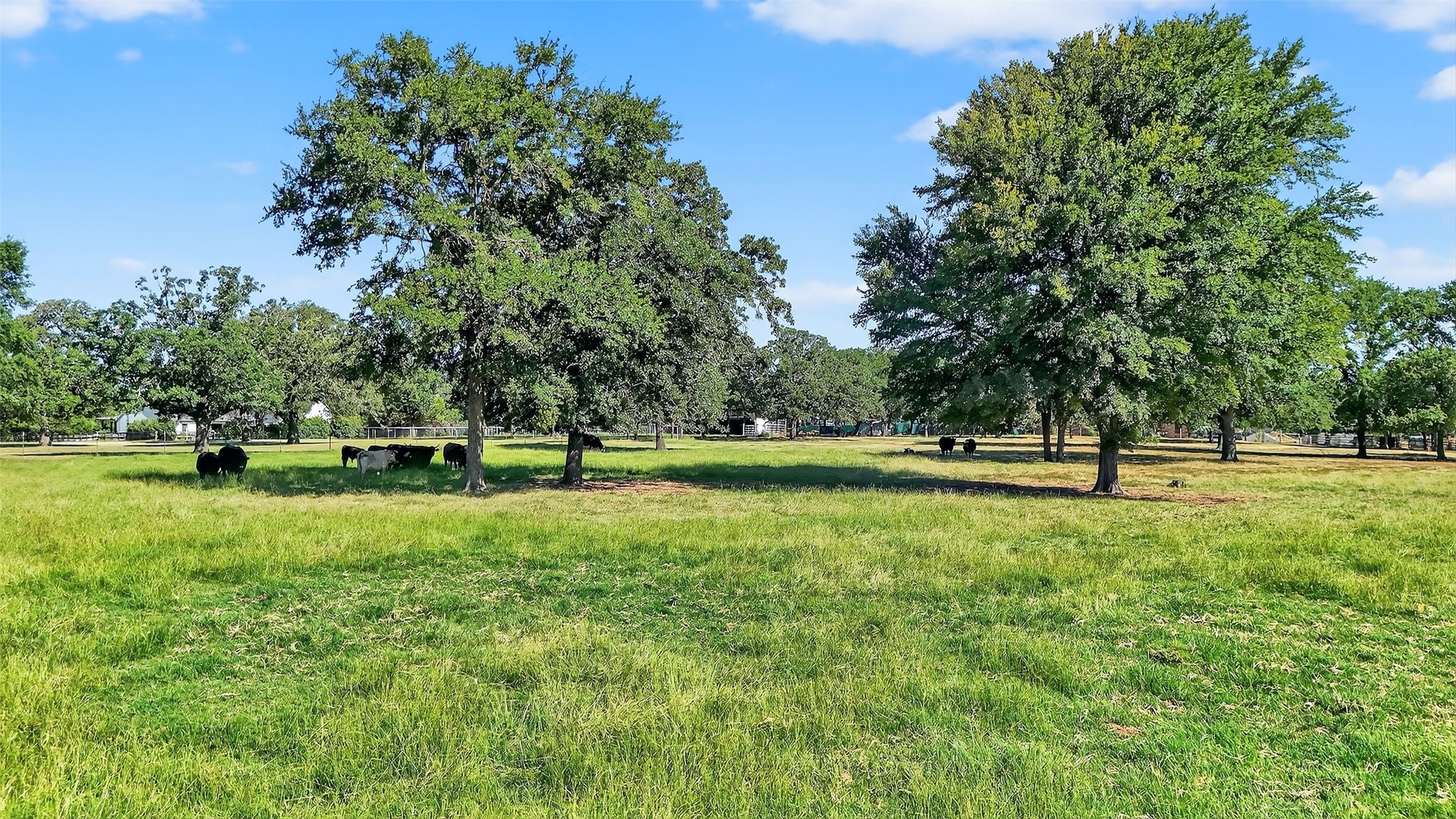 616 Spring Hill Road