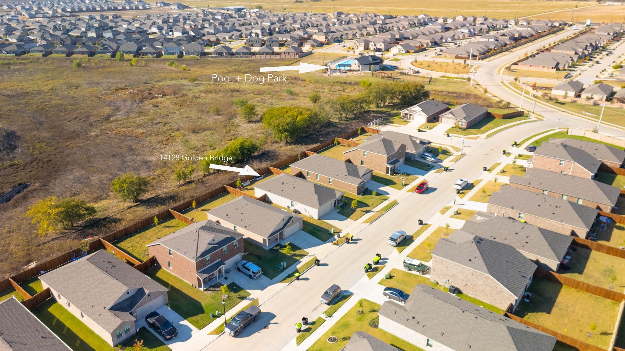 14128 Golden Bridge Drive