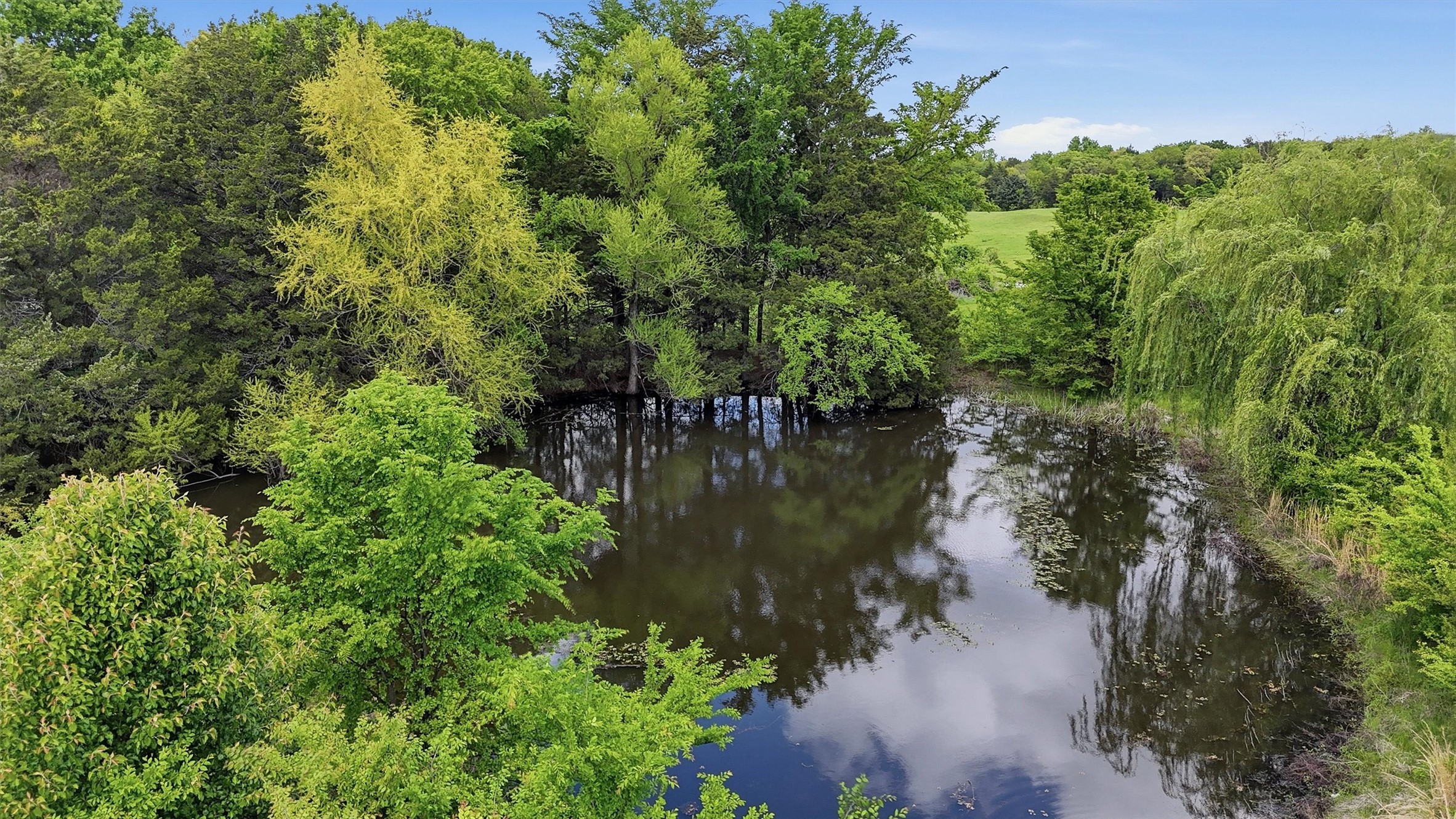 155 Basin Springs Road