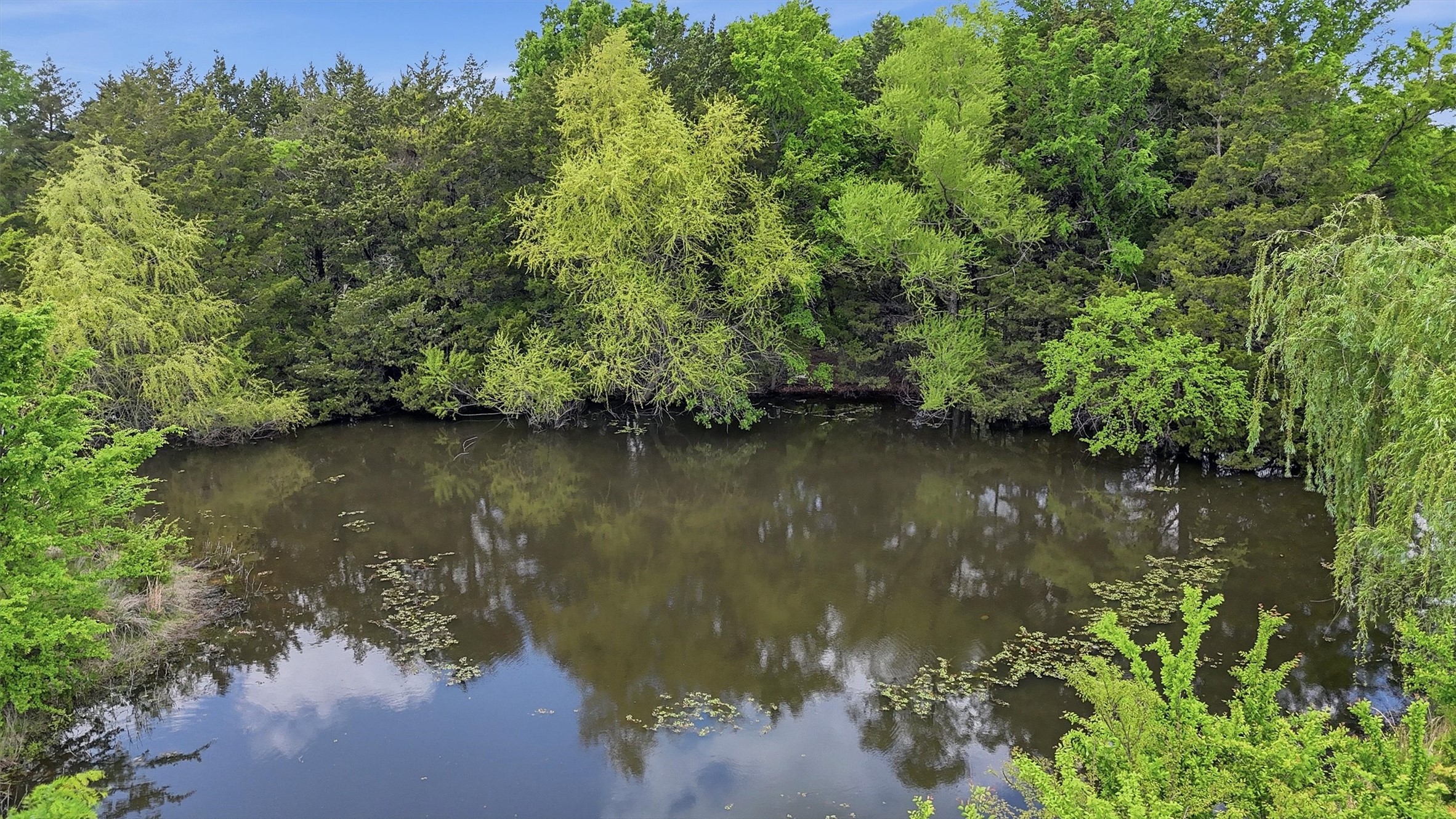 155 Basin Springs Road