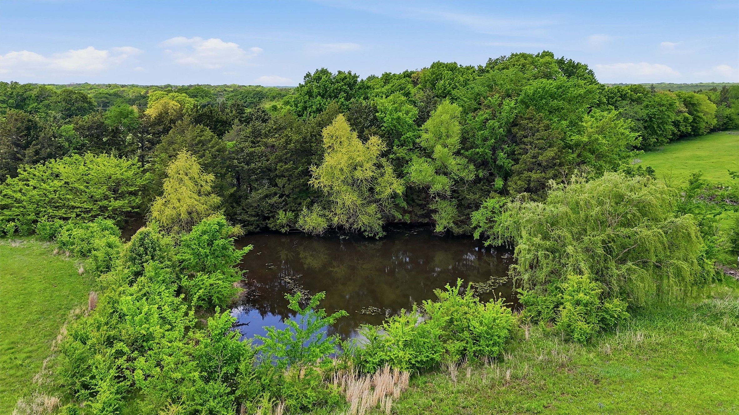 155 Basin Springs Road