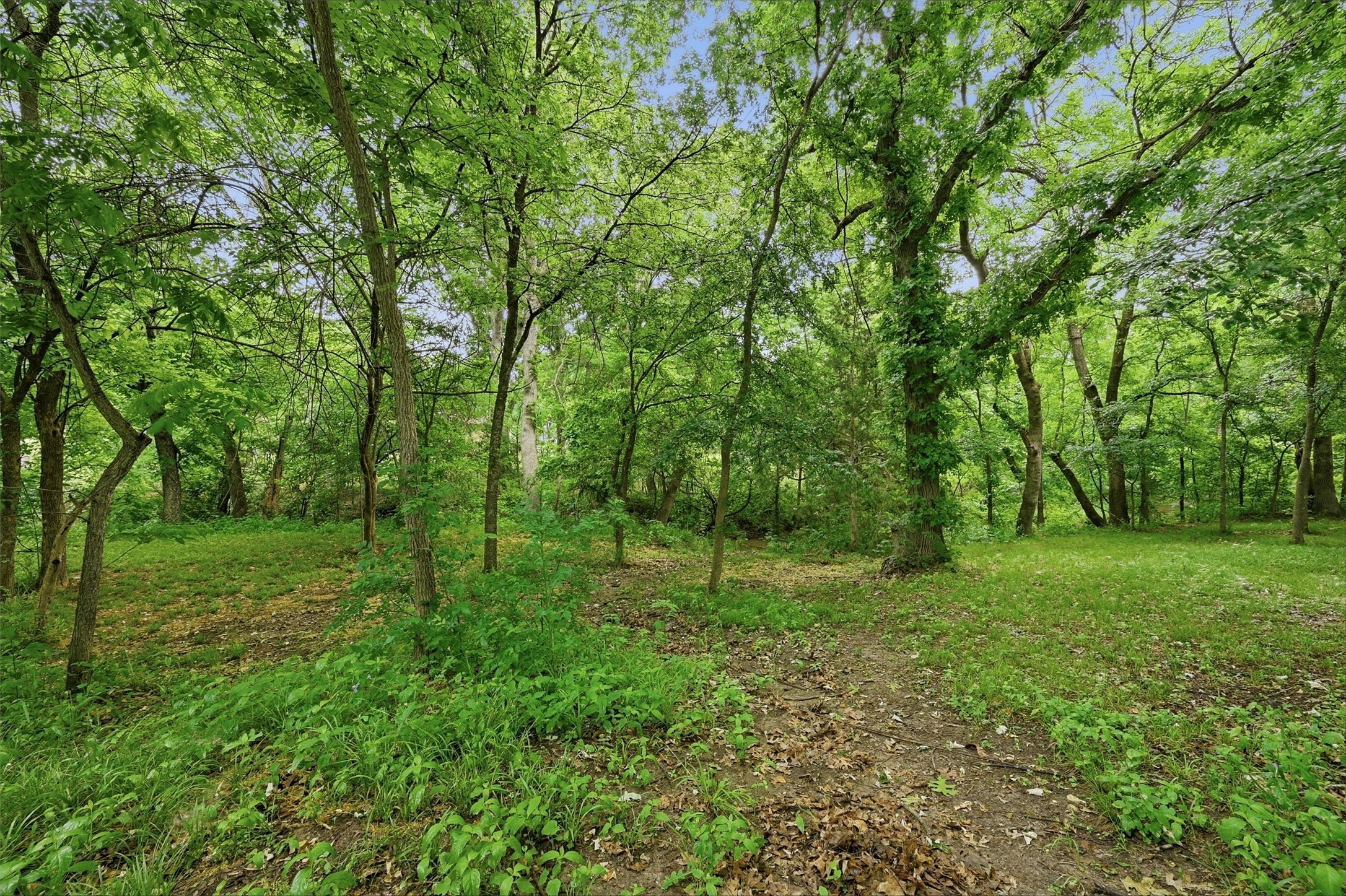 31 Forest Hills Circle
