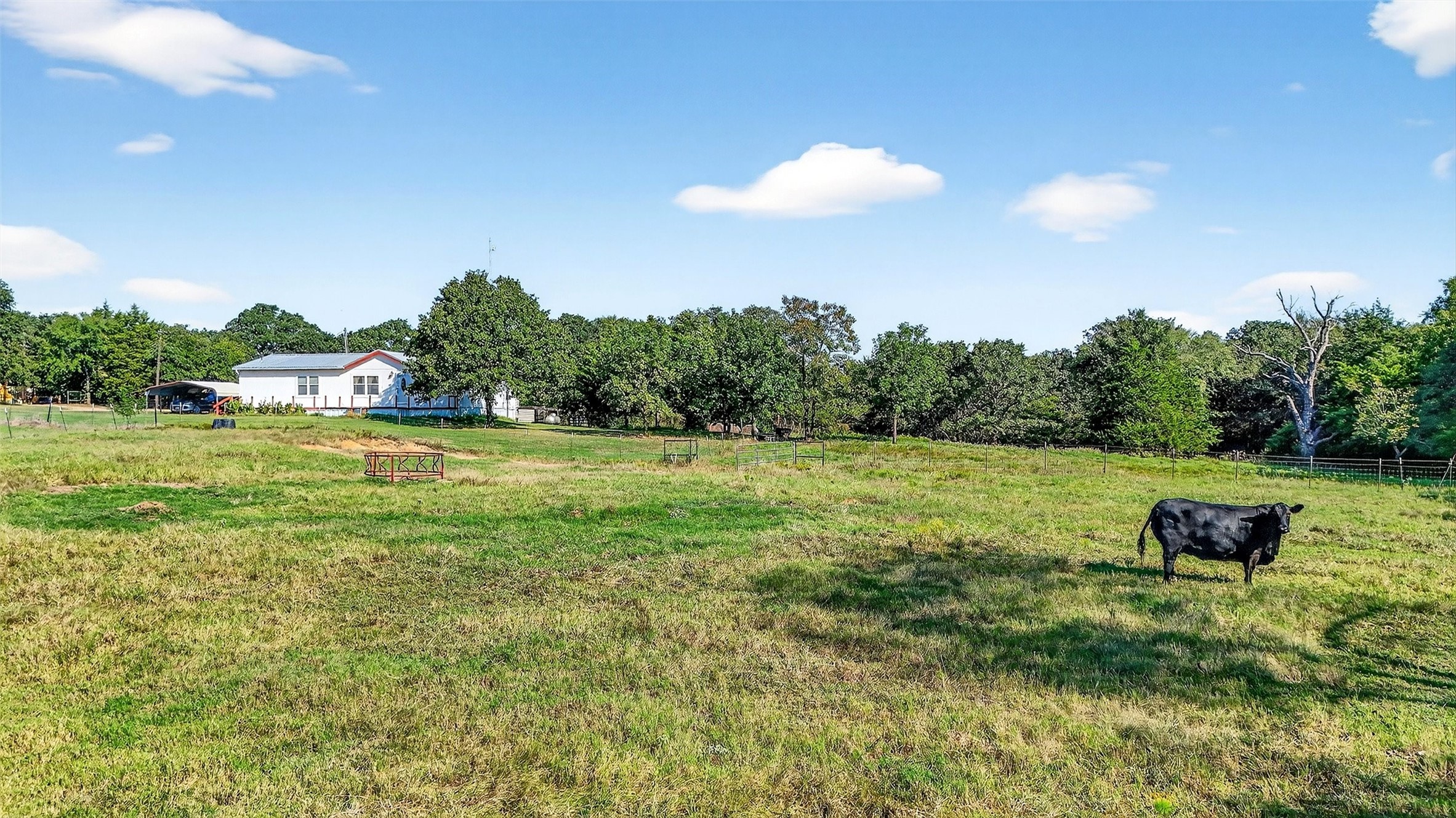 437 County Road 292