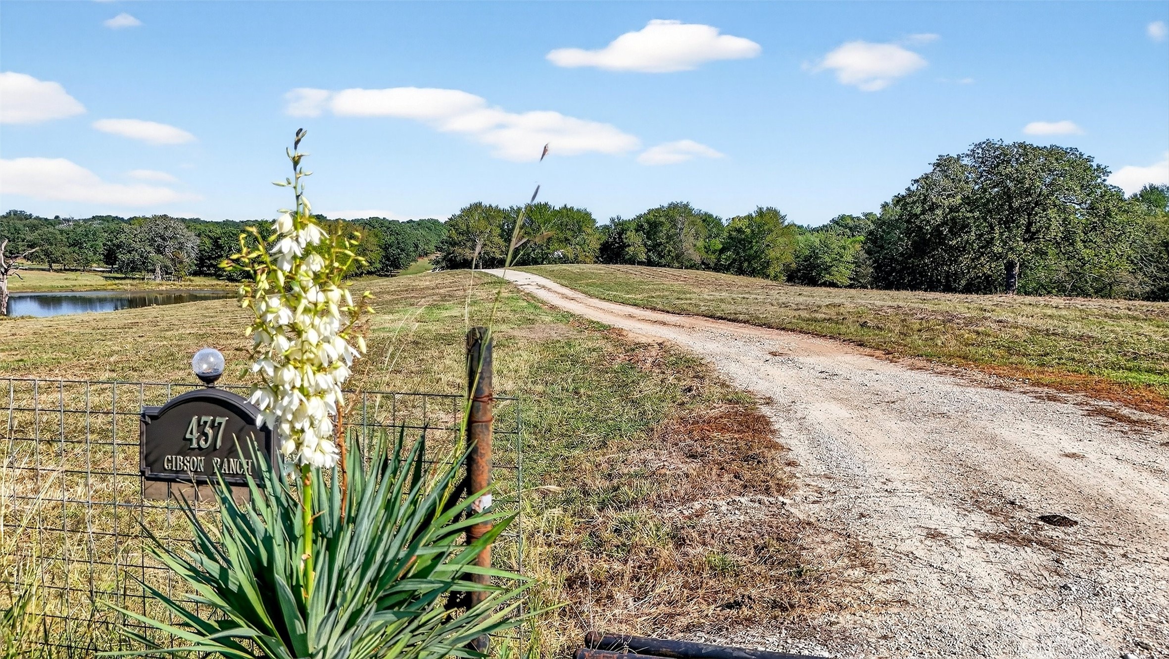 437 County Road 292