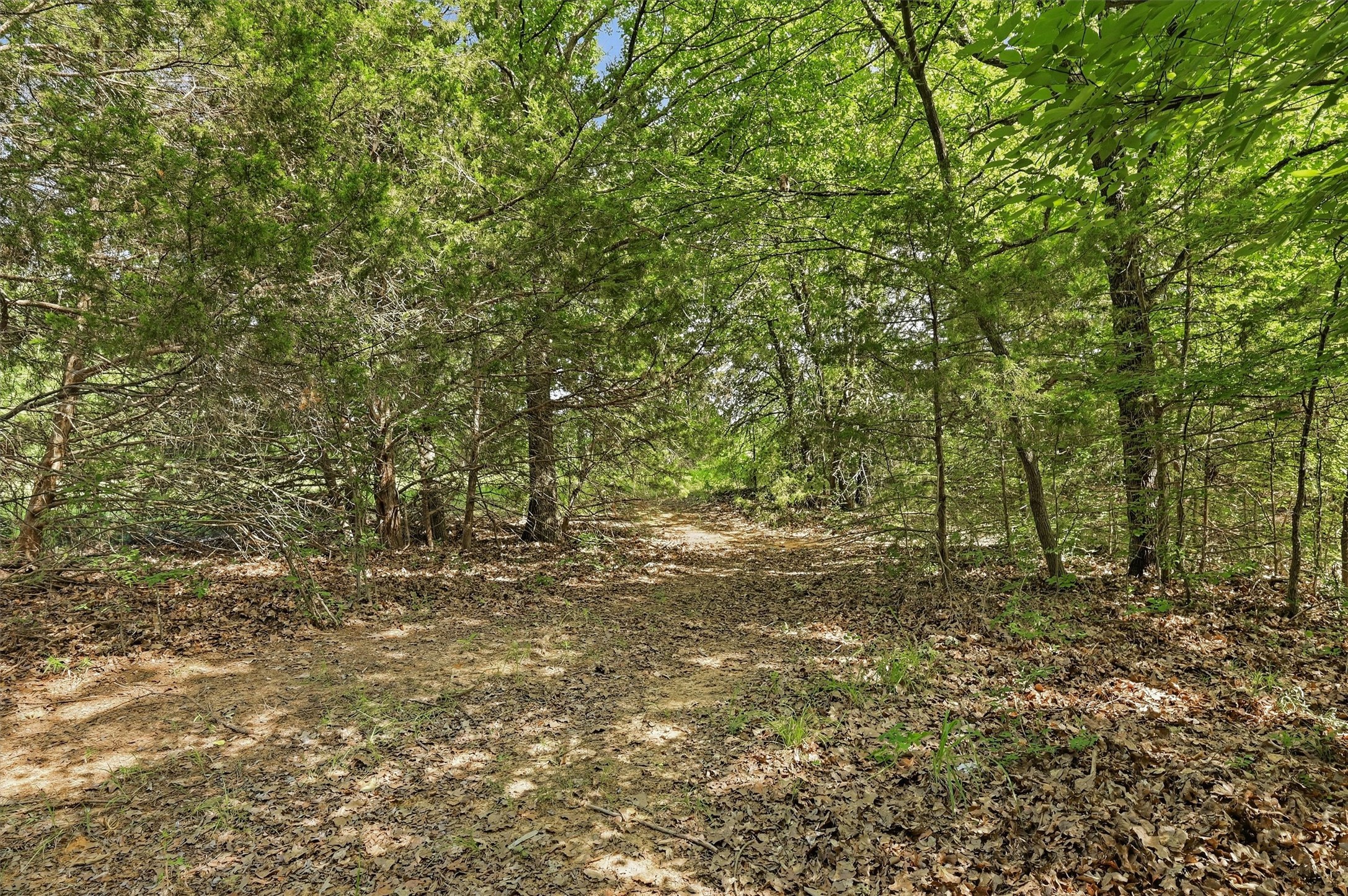 7277 W Line Road