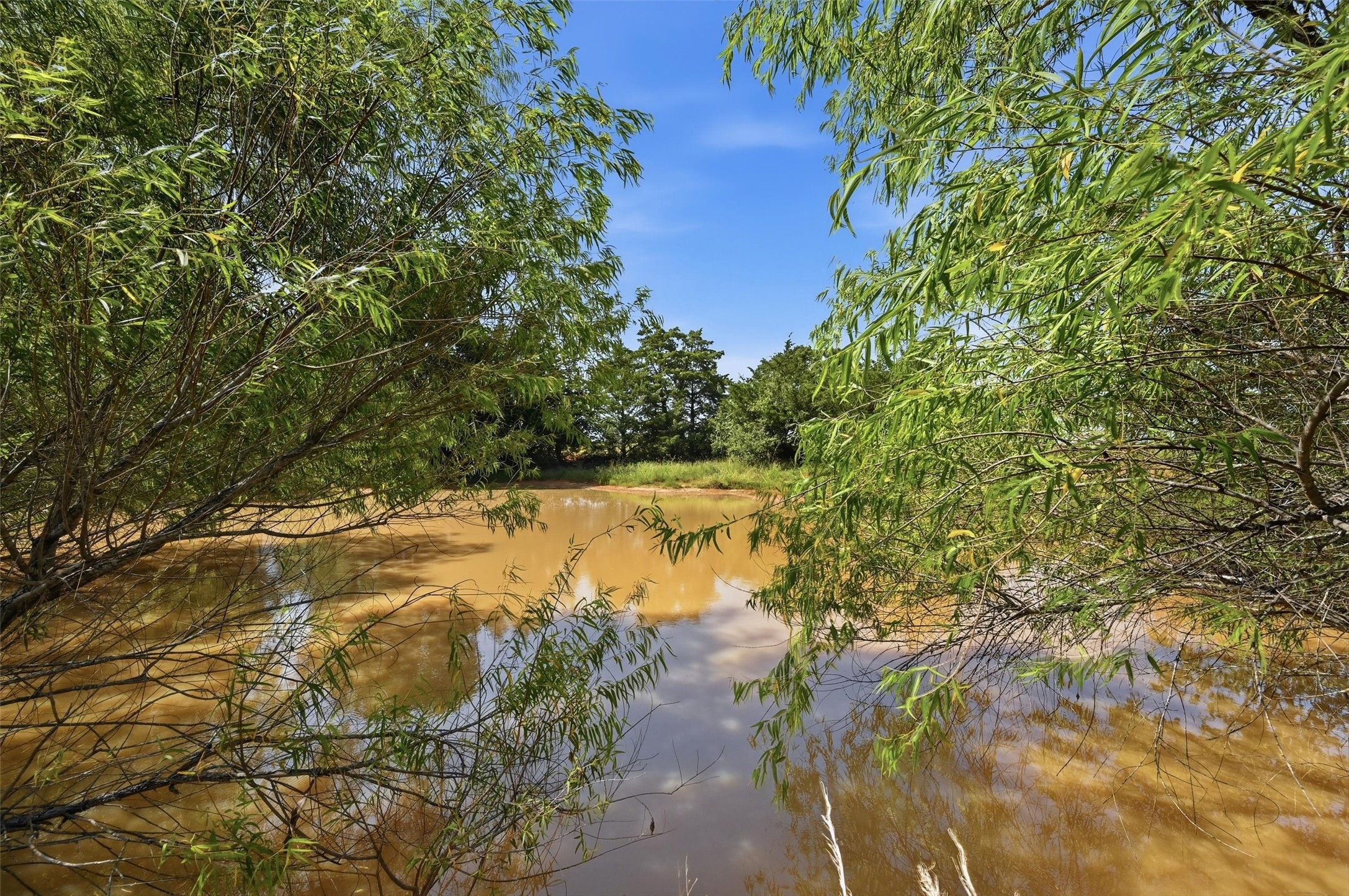 7277 W Line Road