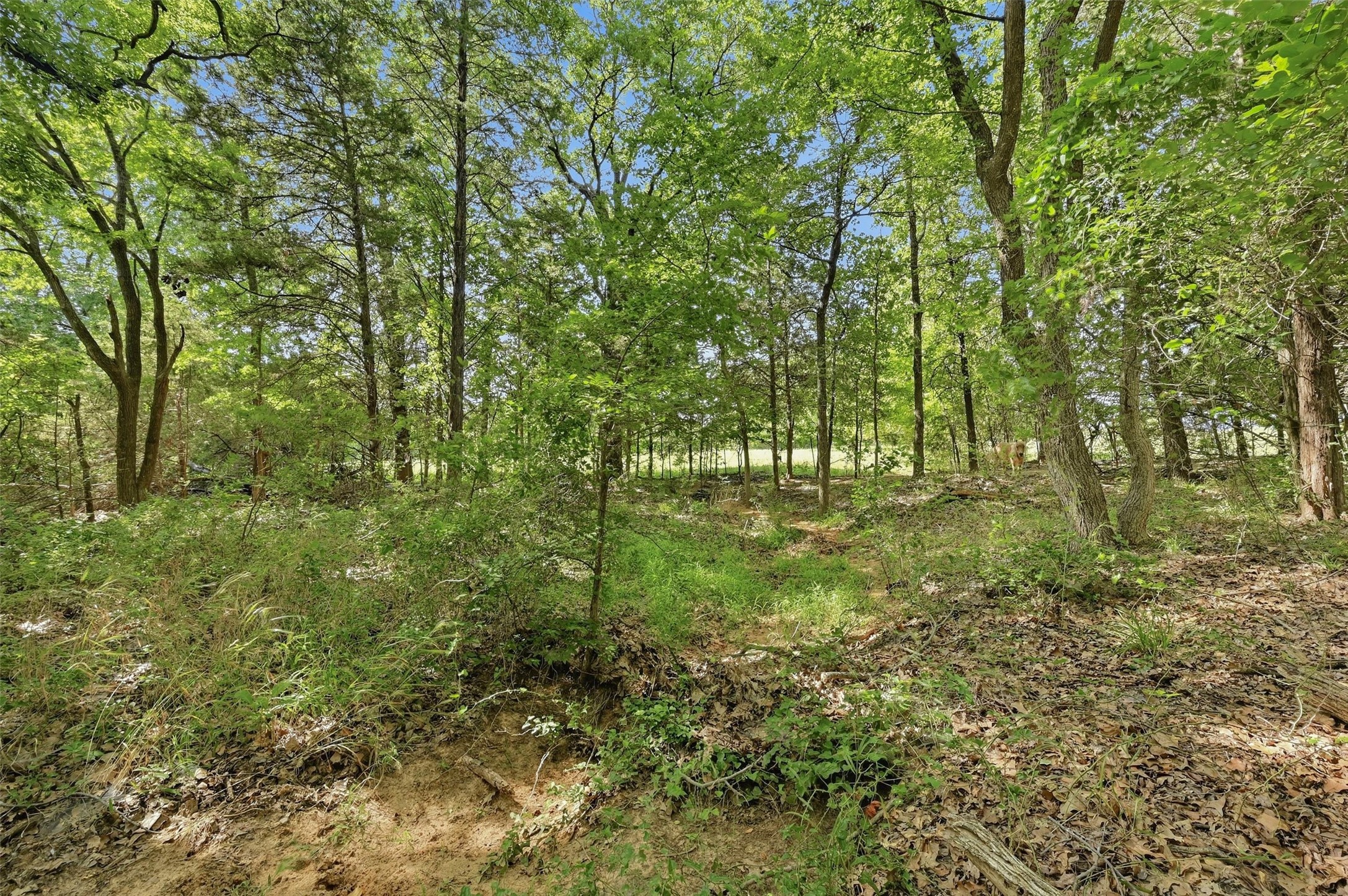 7277 W Line Road