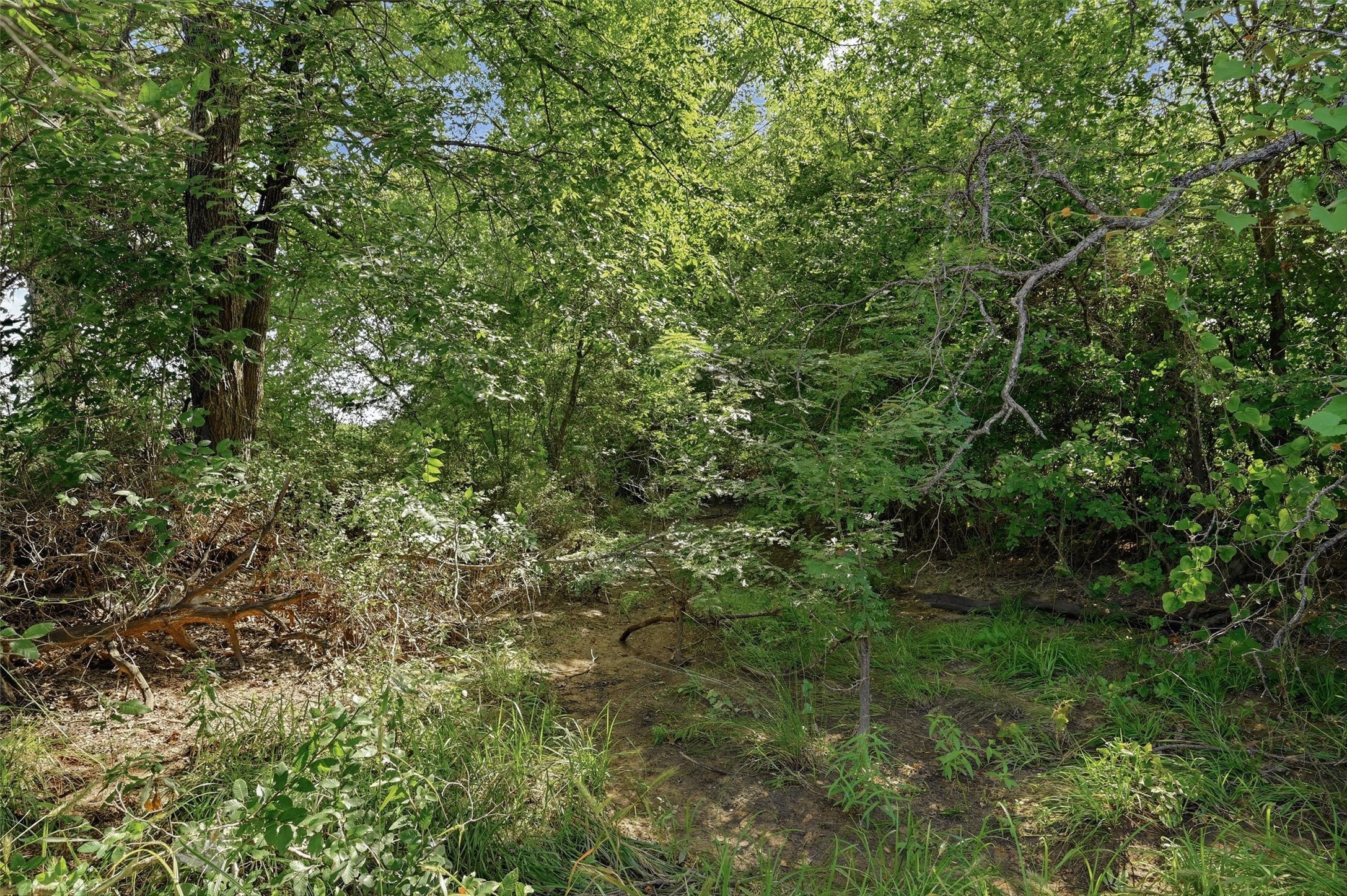 7277 W Line Road
