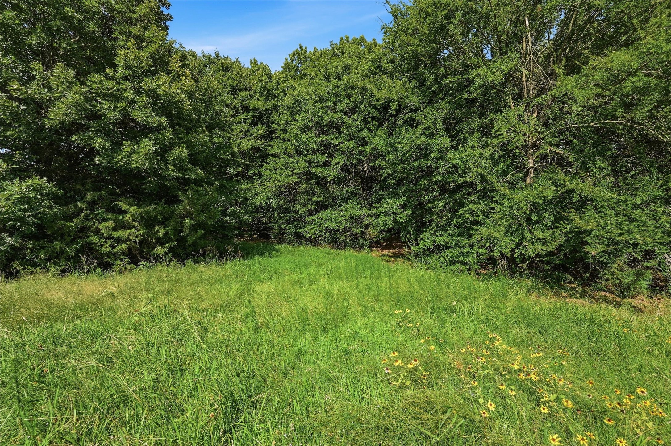 7277 W Line Road
