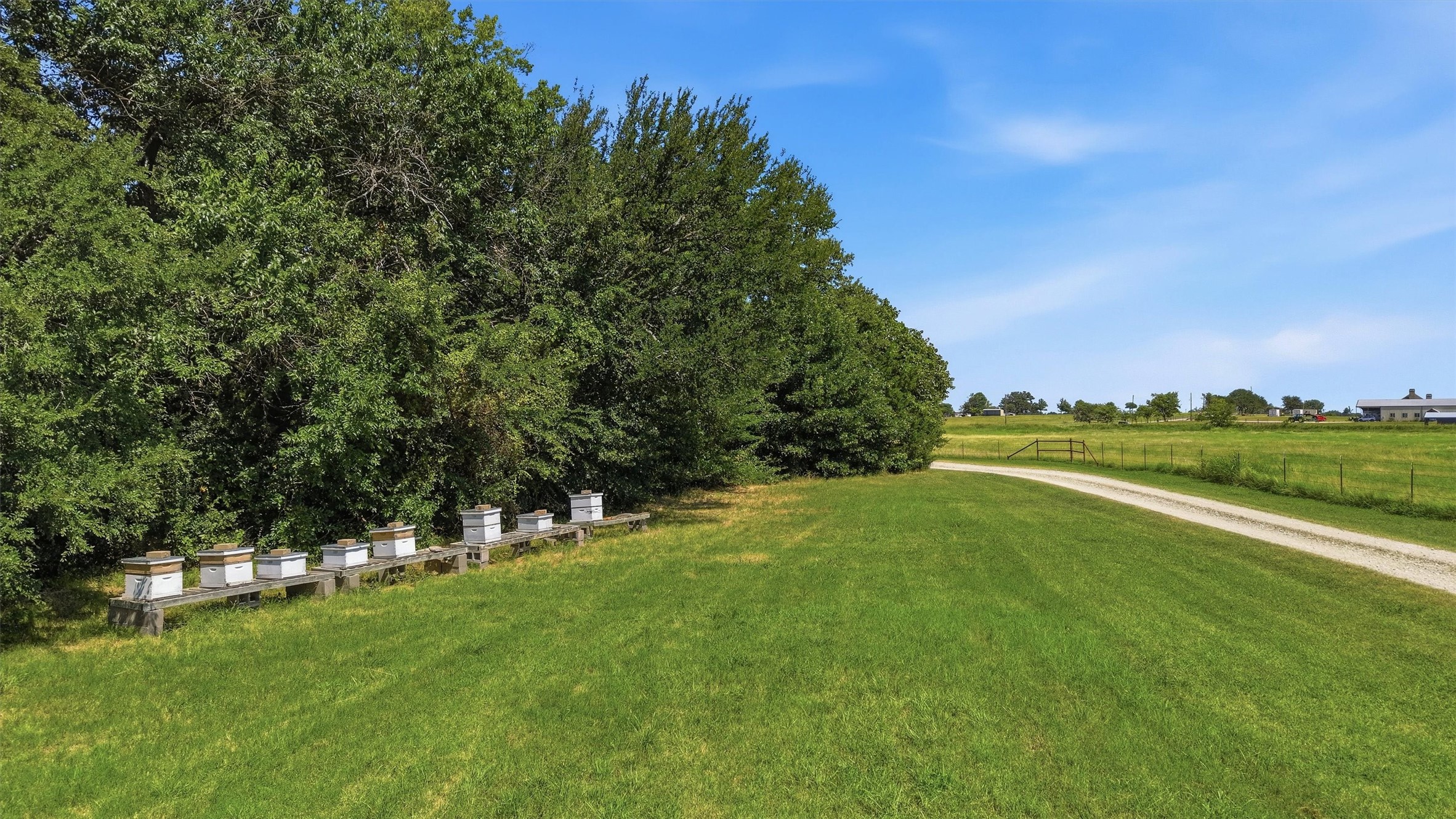 1226 County Road 243