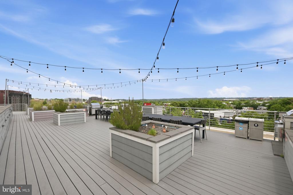 1350 MARYLAND AVENUE NE Unit: 315