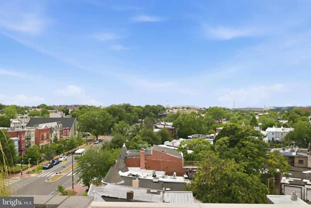 1350 MARYLAND AVENUE NE Unit: 315