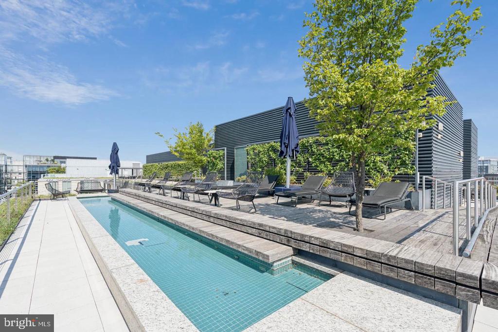 Rooftop swimming pool with a wood deck, lounge chairs, and leafy trees.