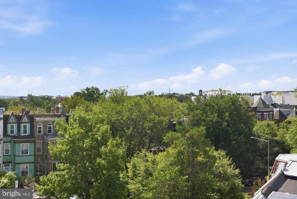 Tree-lined Washington, D.C. rooftops with the Washington Monument visible in the distance.