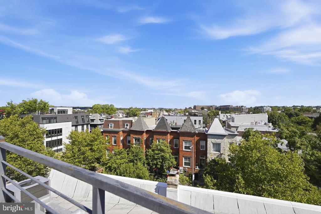 Rooftop terrace overlooking leafy streets and rows of brick and stone Washington buildings.