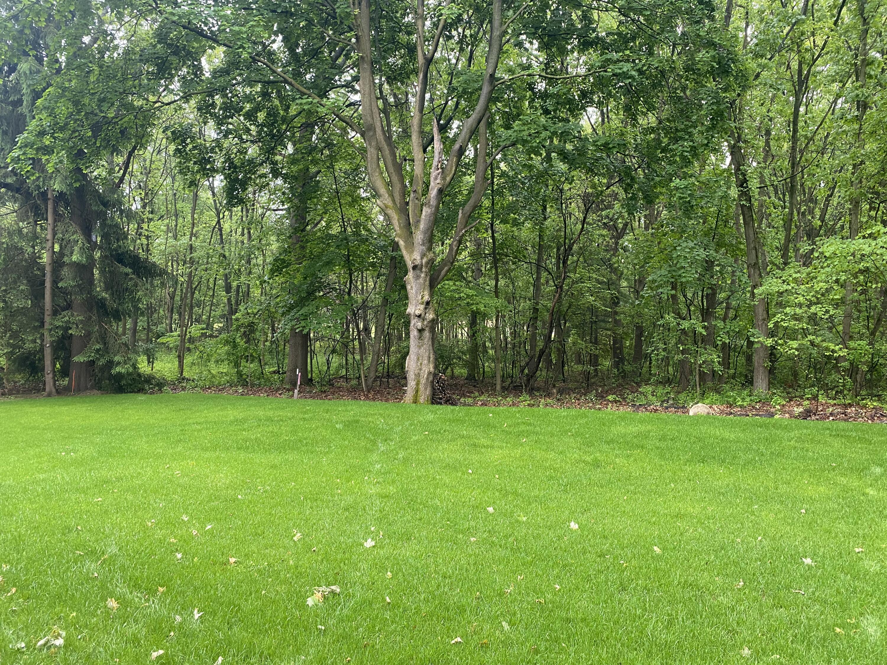 439 West Crooked Lake Drive