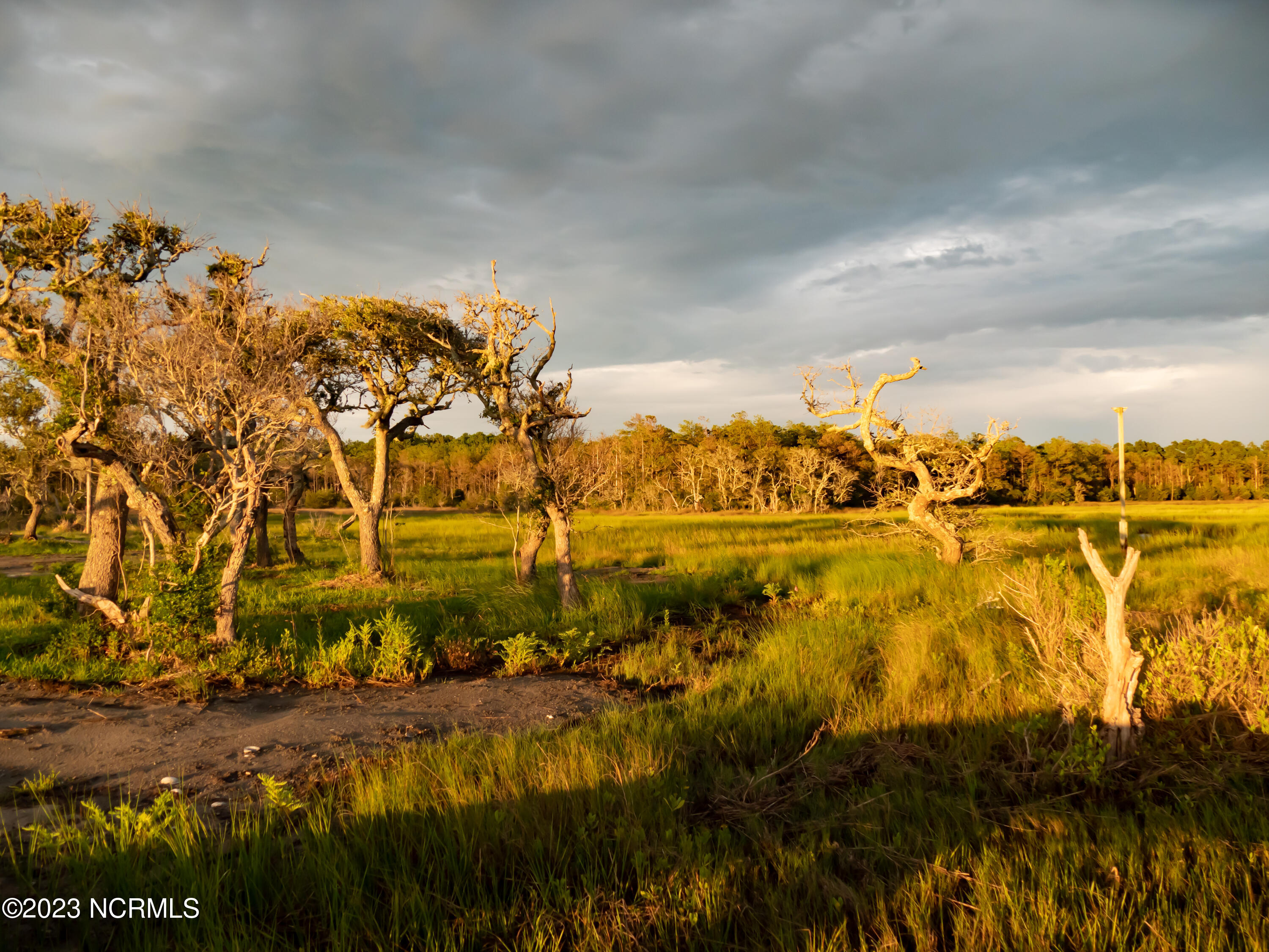 316 Bettie Path Road