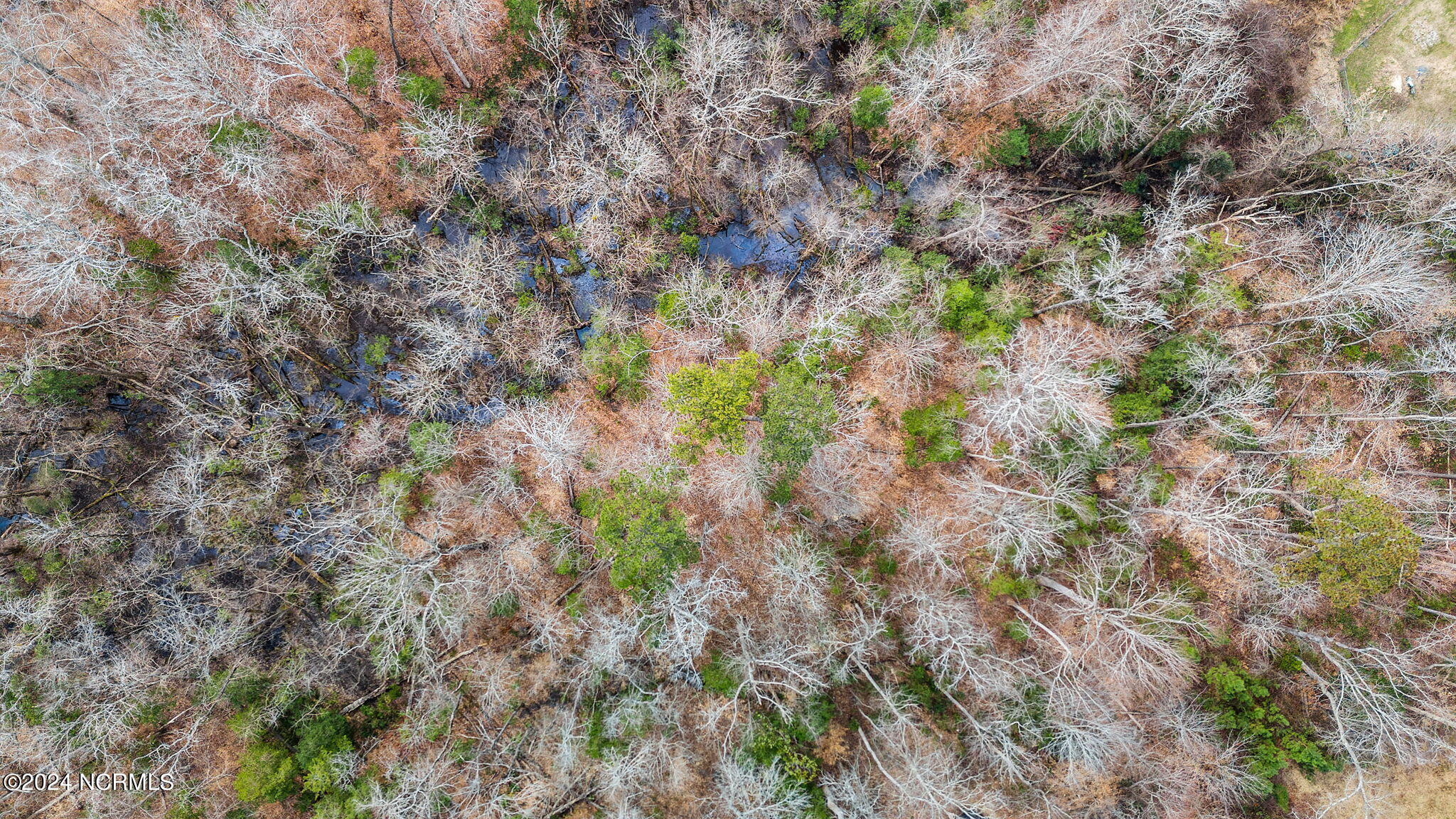 203 109 Huntcliff Rd