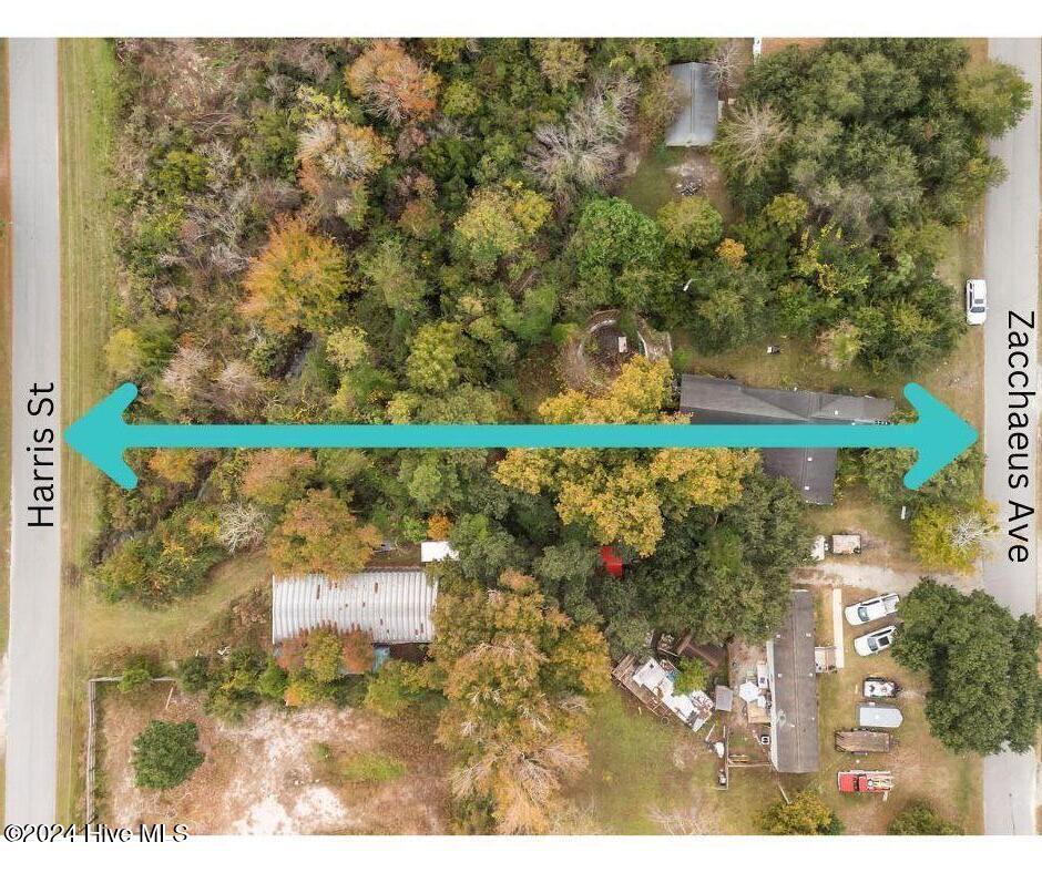 124 Zacchaeus Avenue