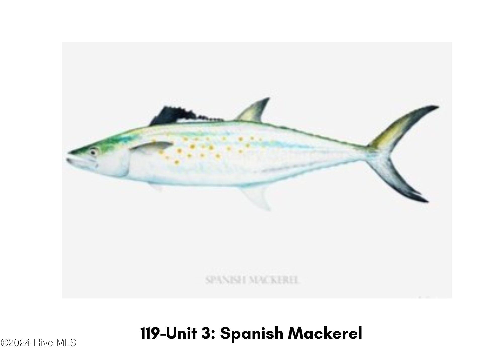 119 W Bogue Boulevard