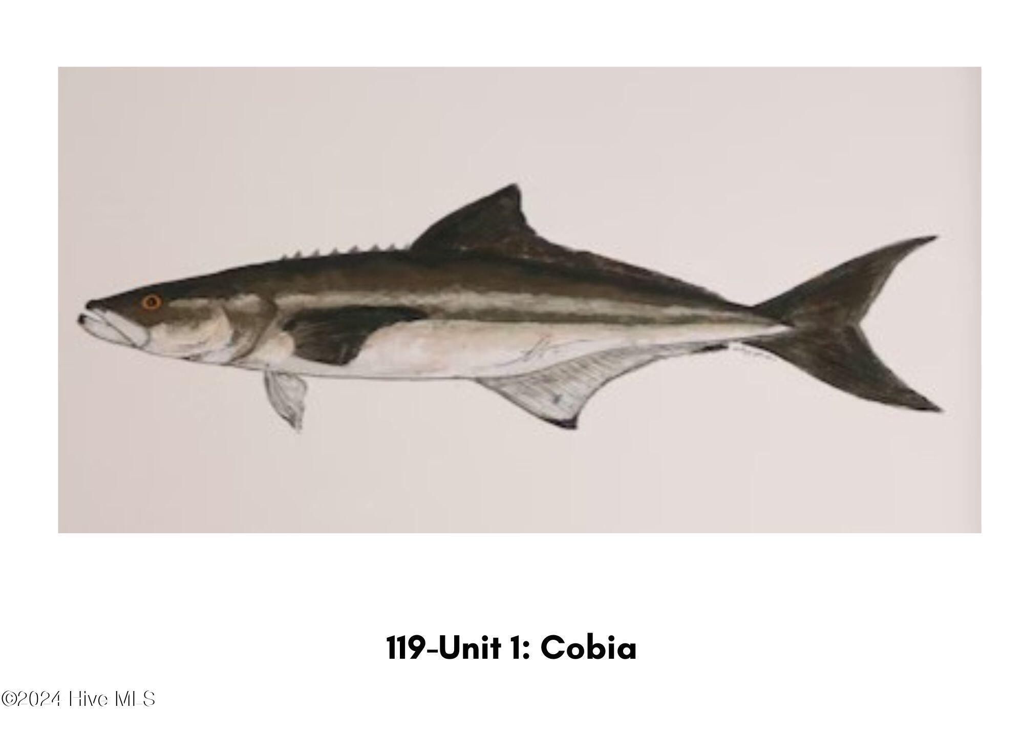 119 W Bogue Boulevard