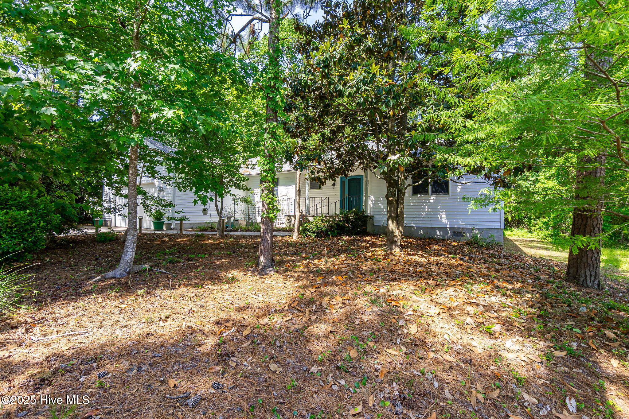 103 Arborvitae Court