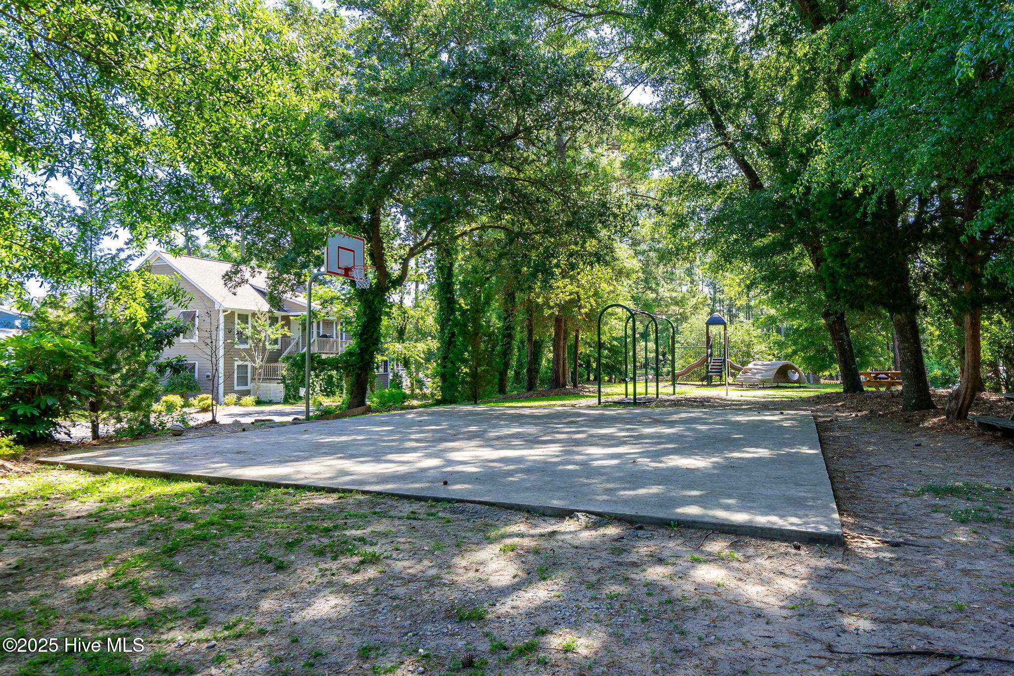 103 Arborvitae Court