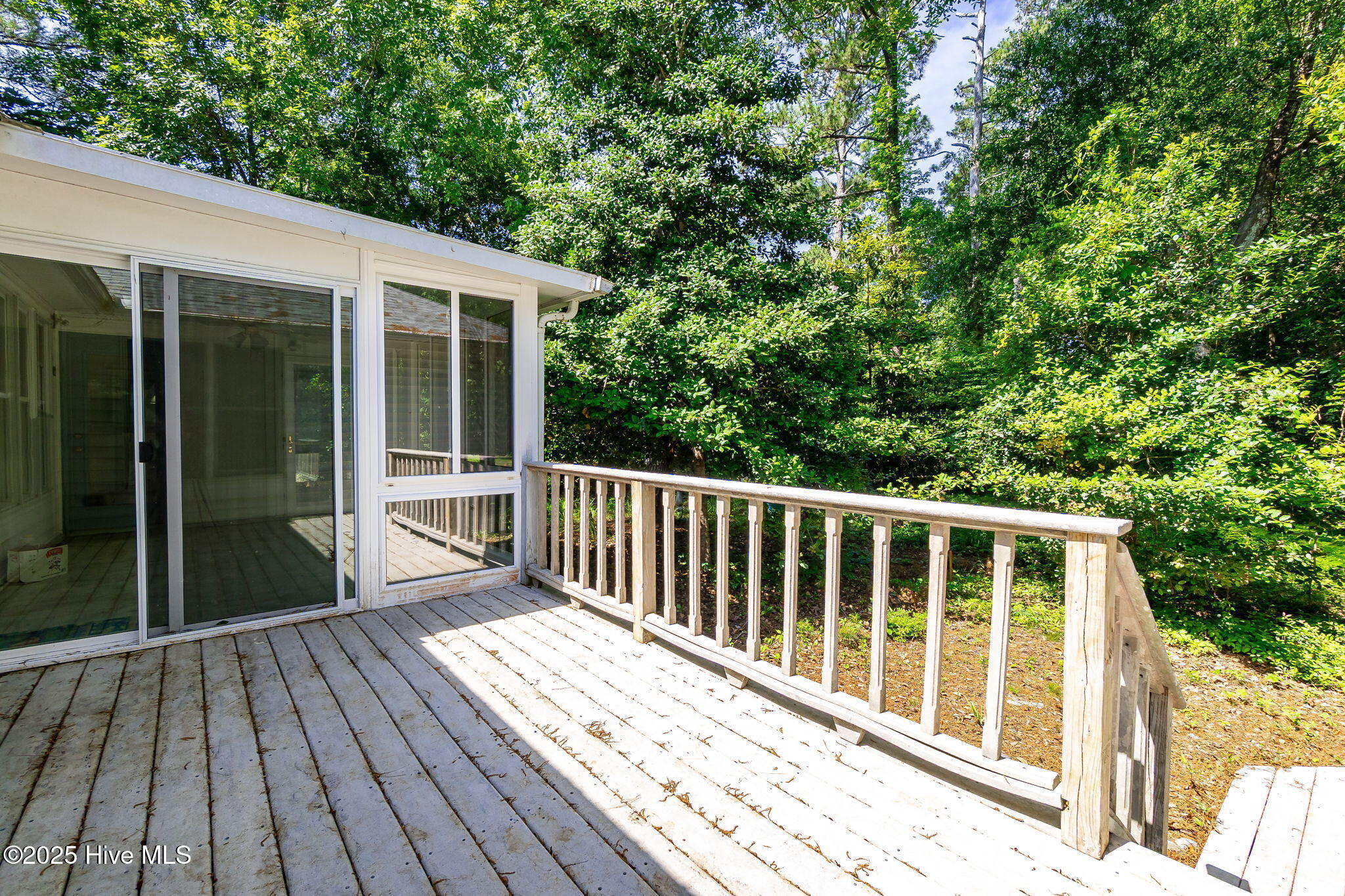 103 Arborvitae Court