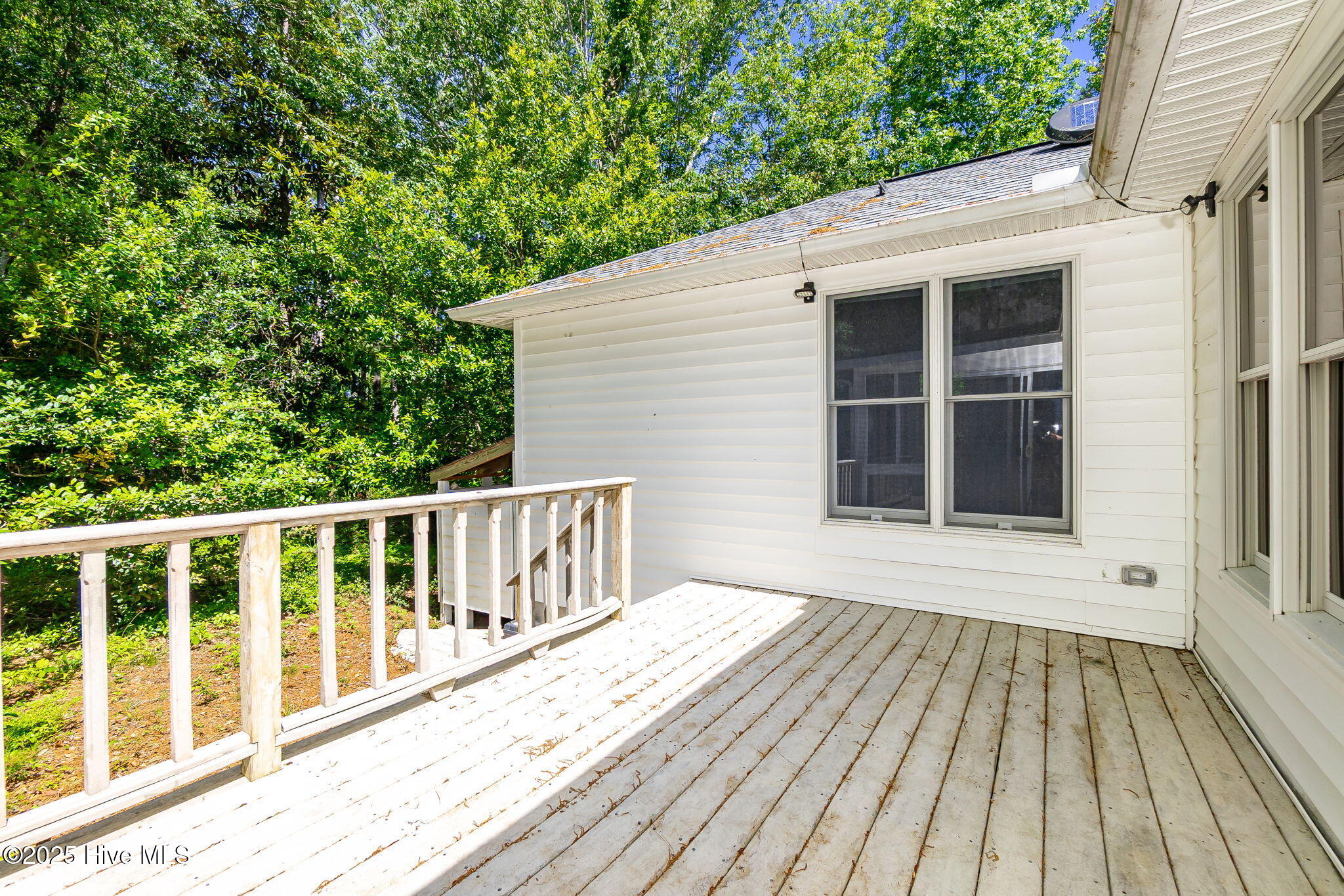 103 Arborvitae Court