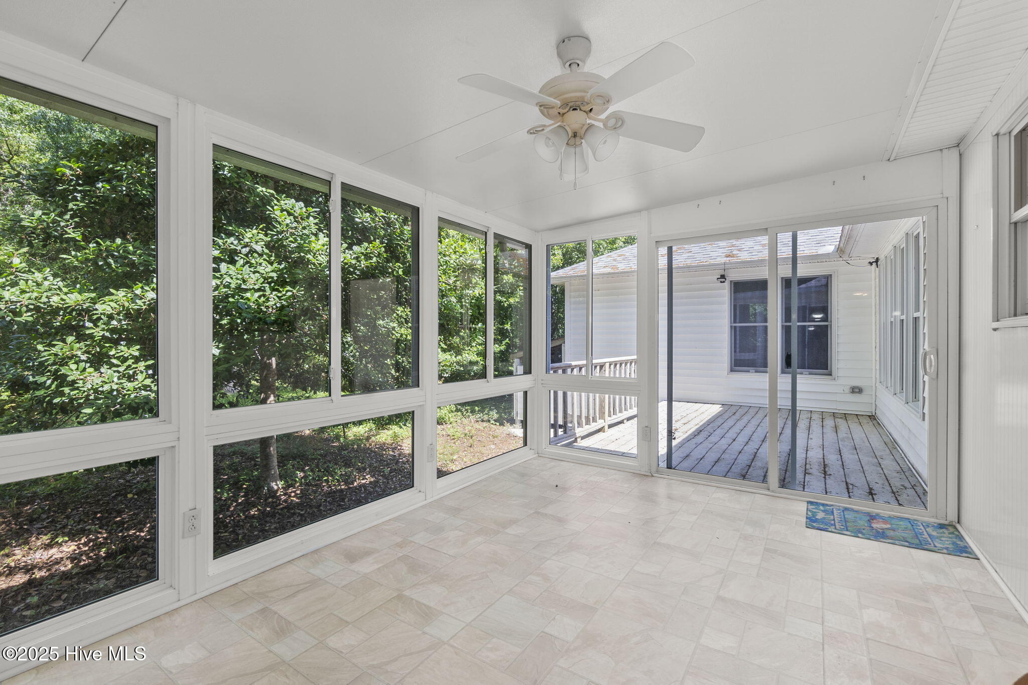 103 Arborvitae Court