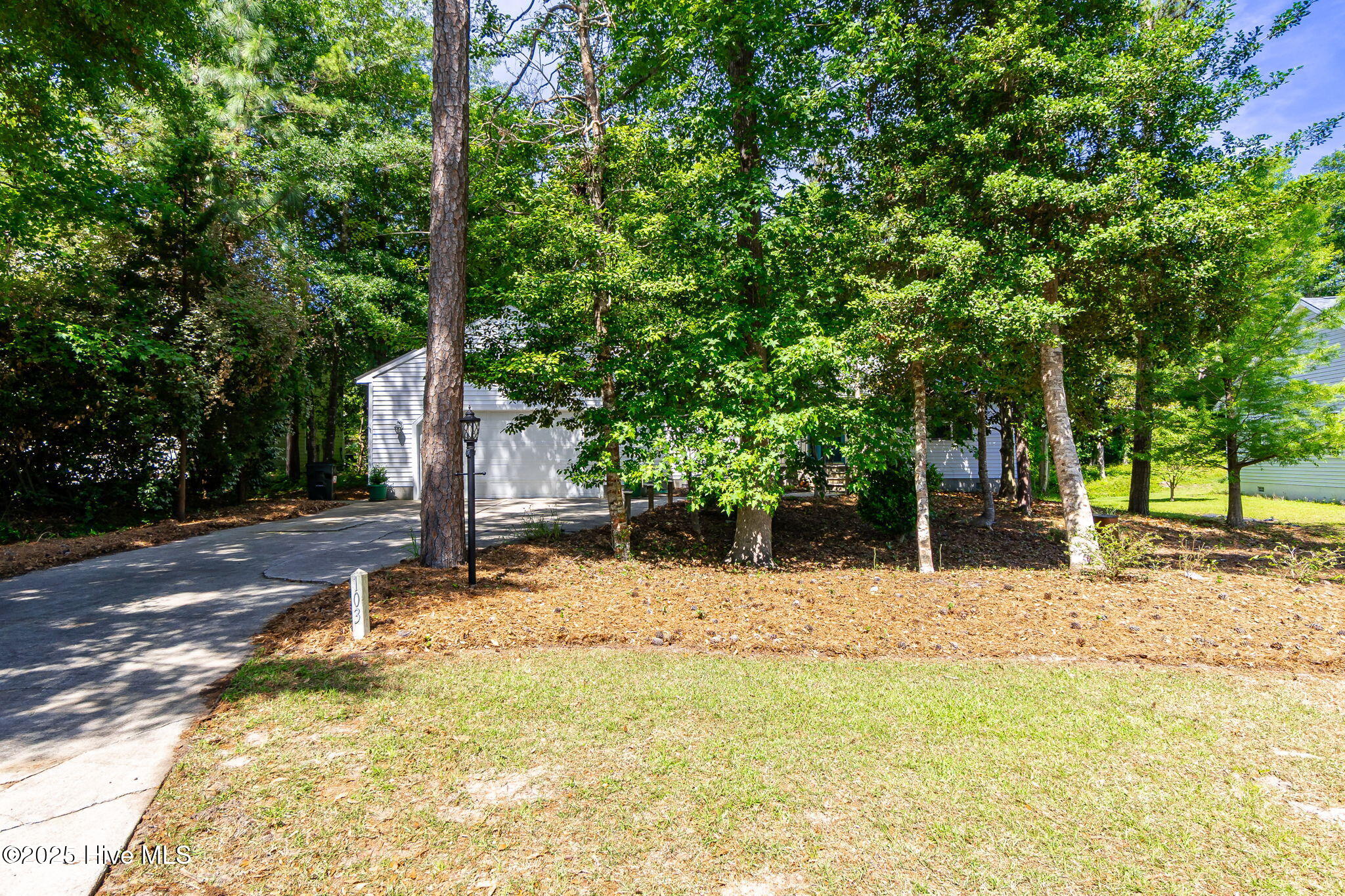 103 Arborvitae Court