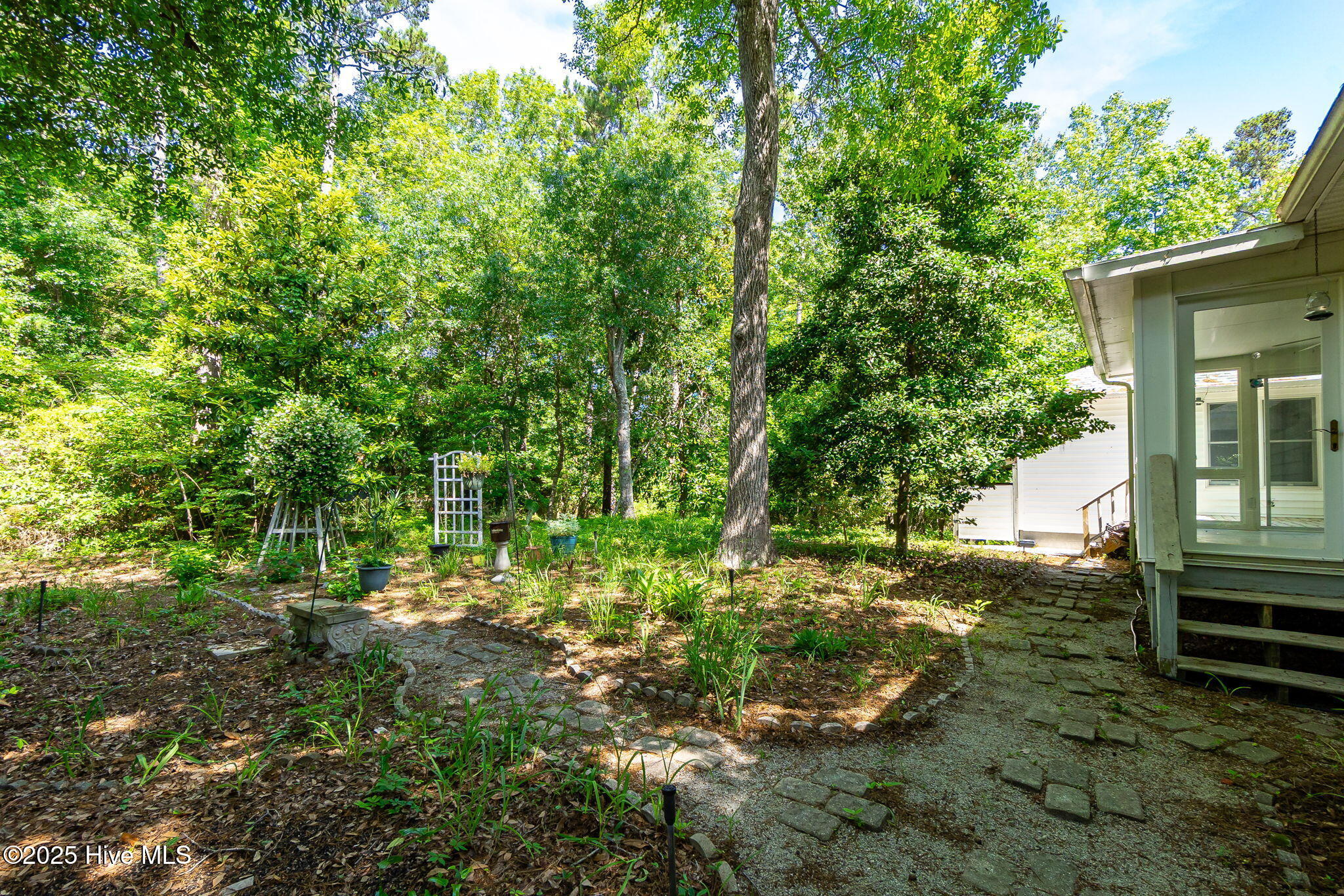 103 Arborvitae Court