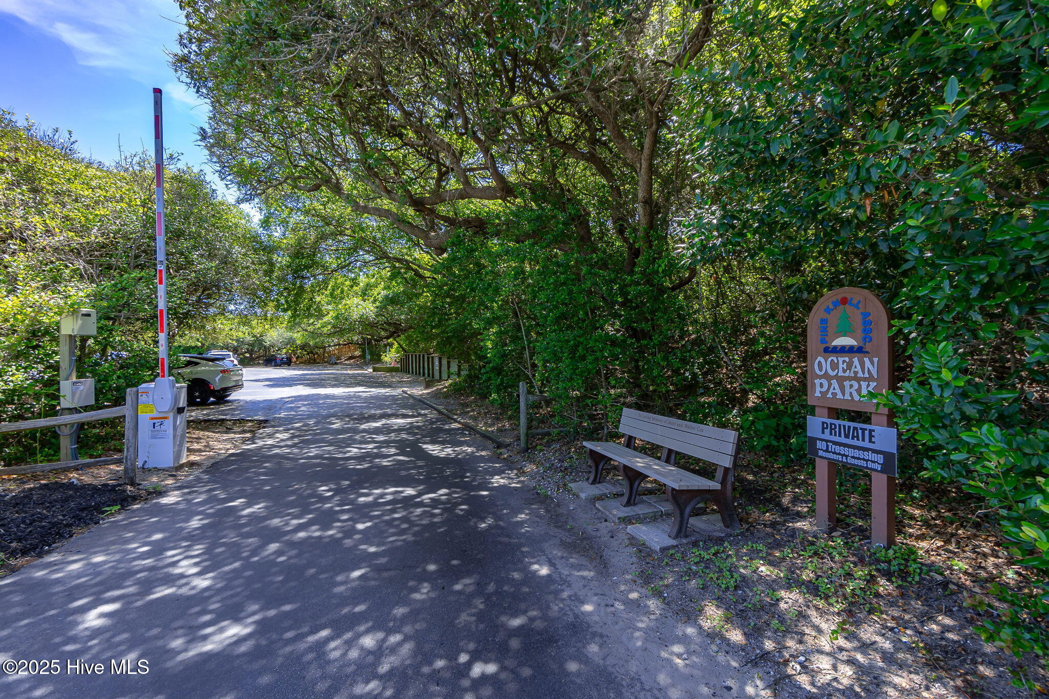 103 Arborvitae Court