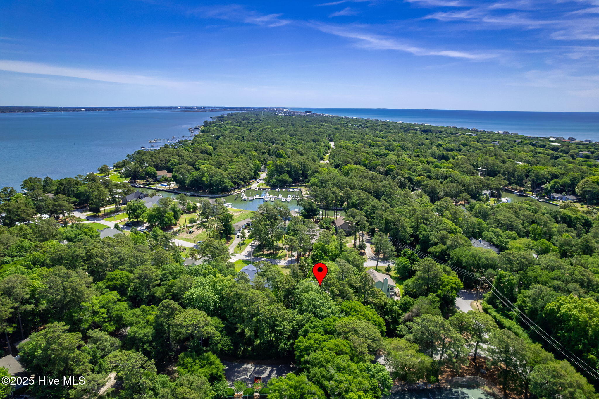 103 Arborvitae Court