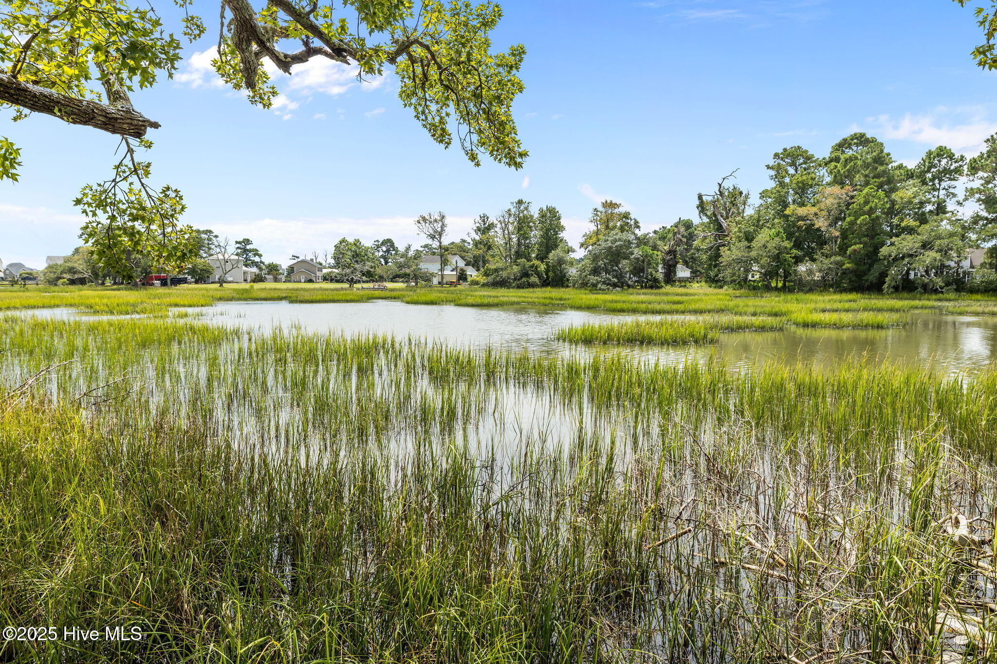 1401 Dills Creek Lane