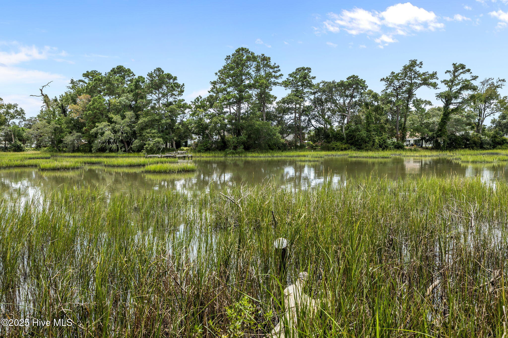 1401 Dills Creek Lane