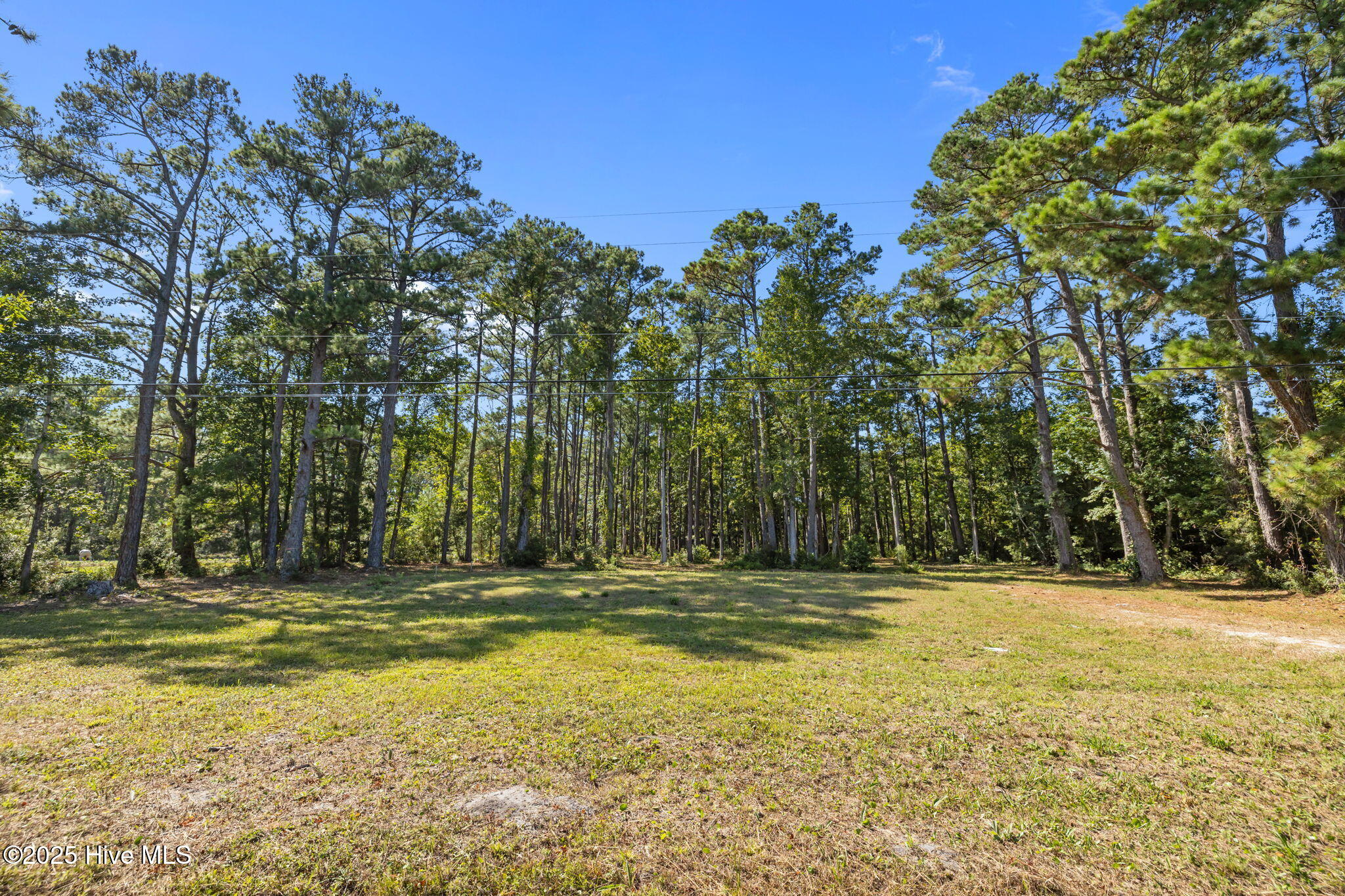 220 Nelson Neck Road