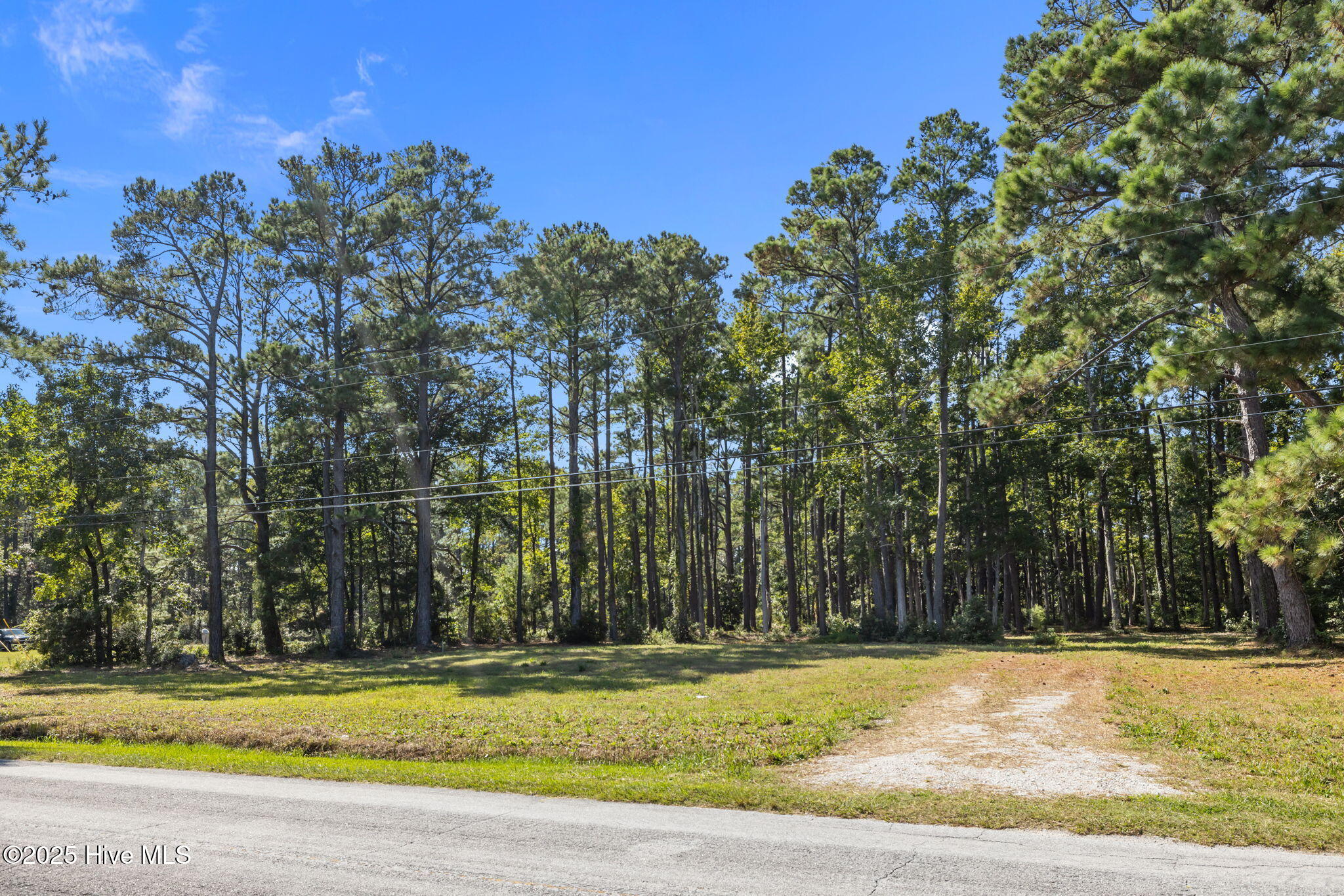 220 Nelson Neck Road