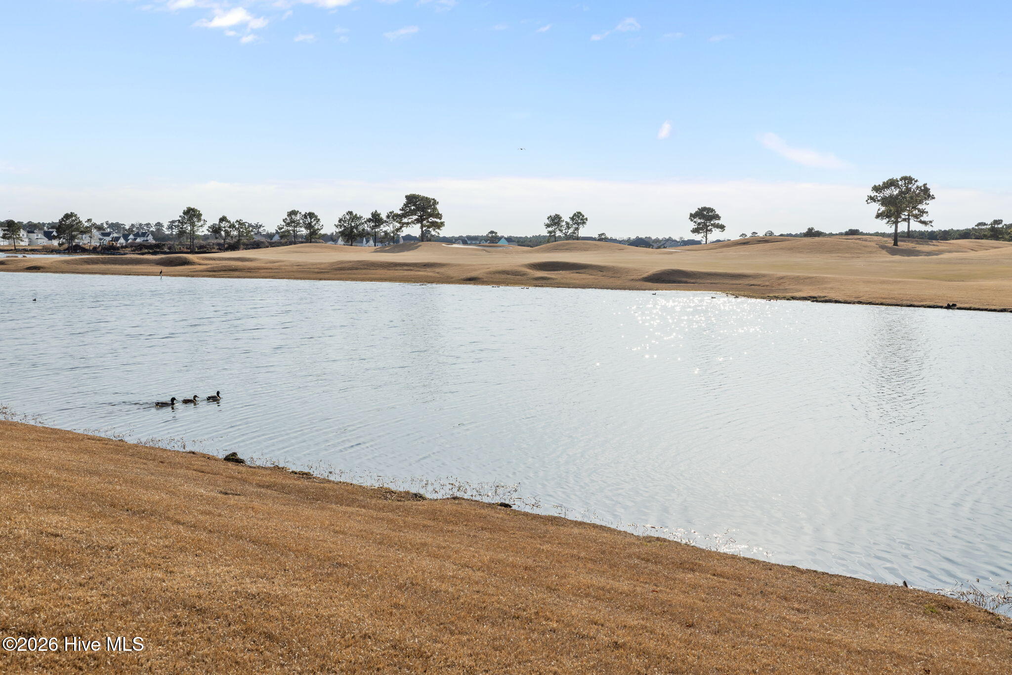 204 Taylorwood Drive