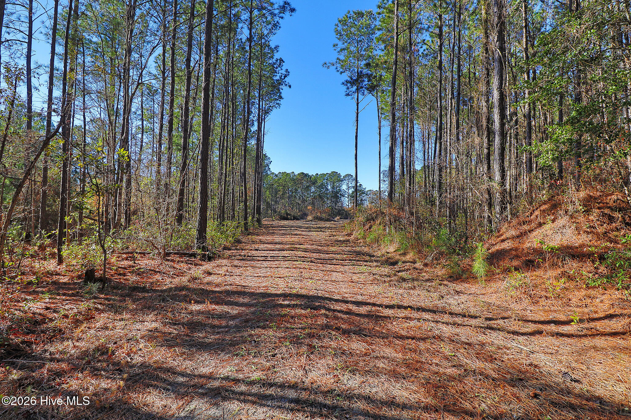 1555 Country Club Road