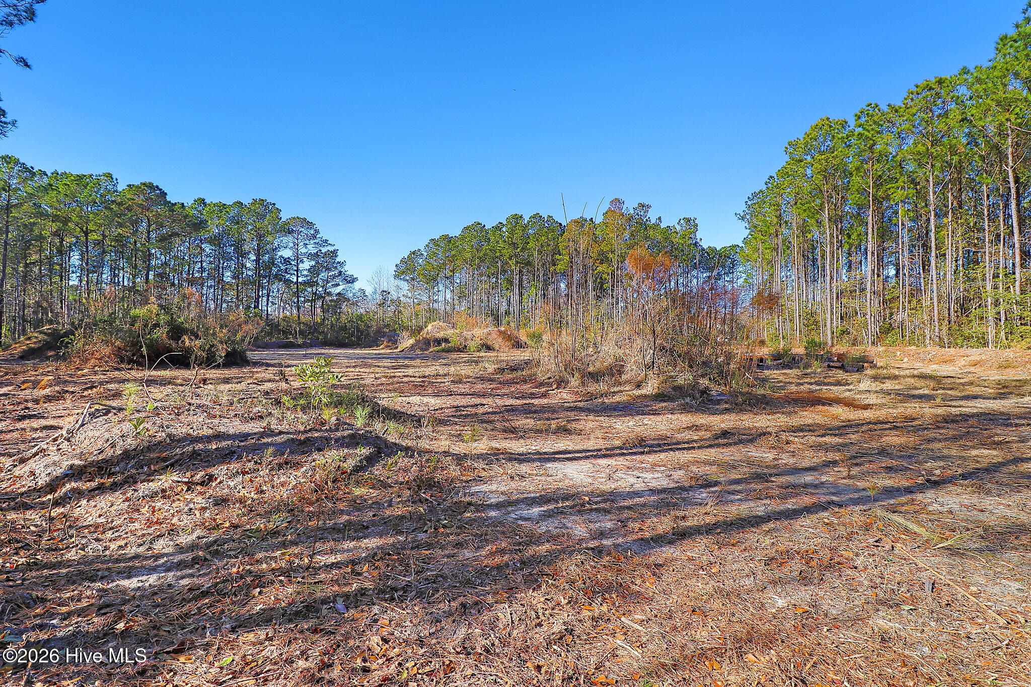 1555 Country Club Road