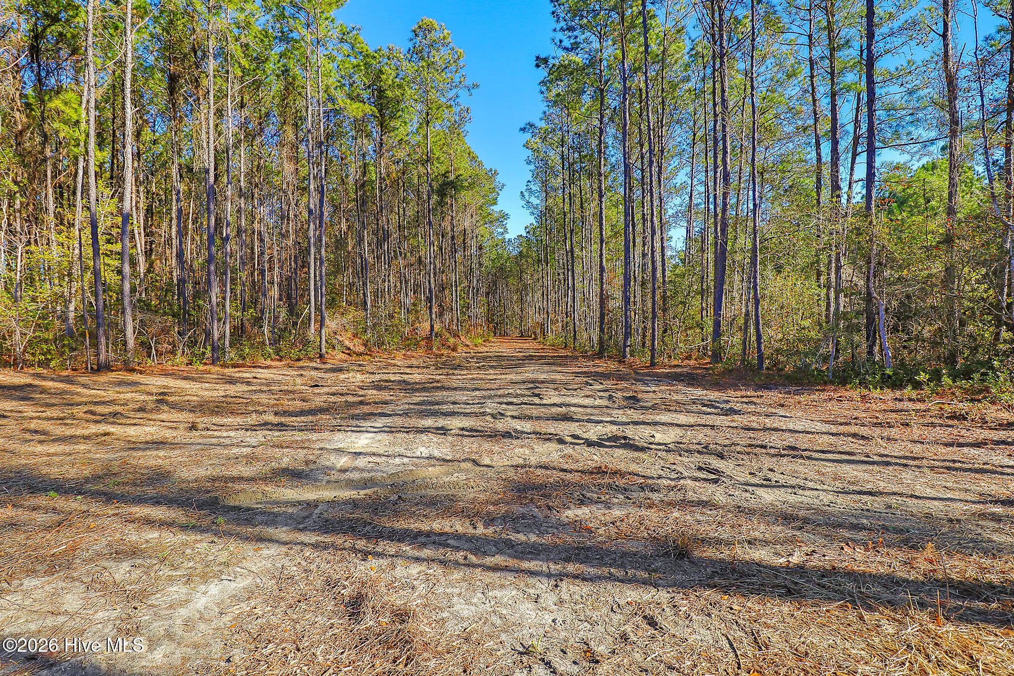 1555 Country Club Road