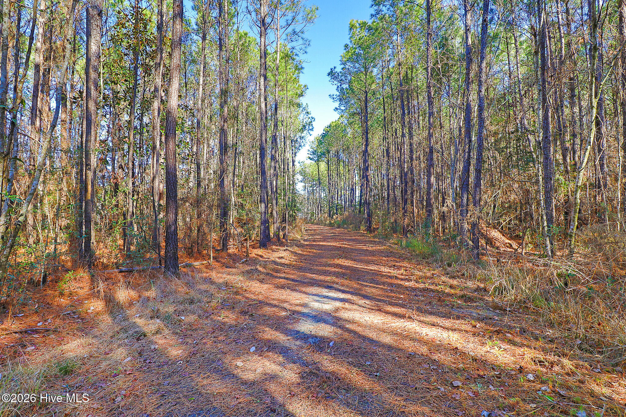 1555 Country Club Road